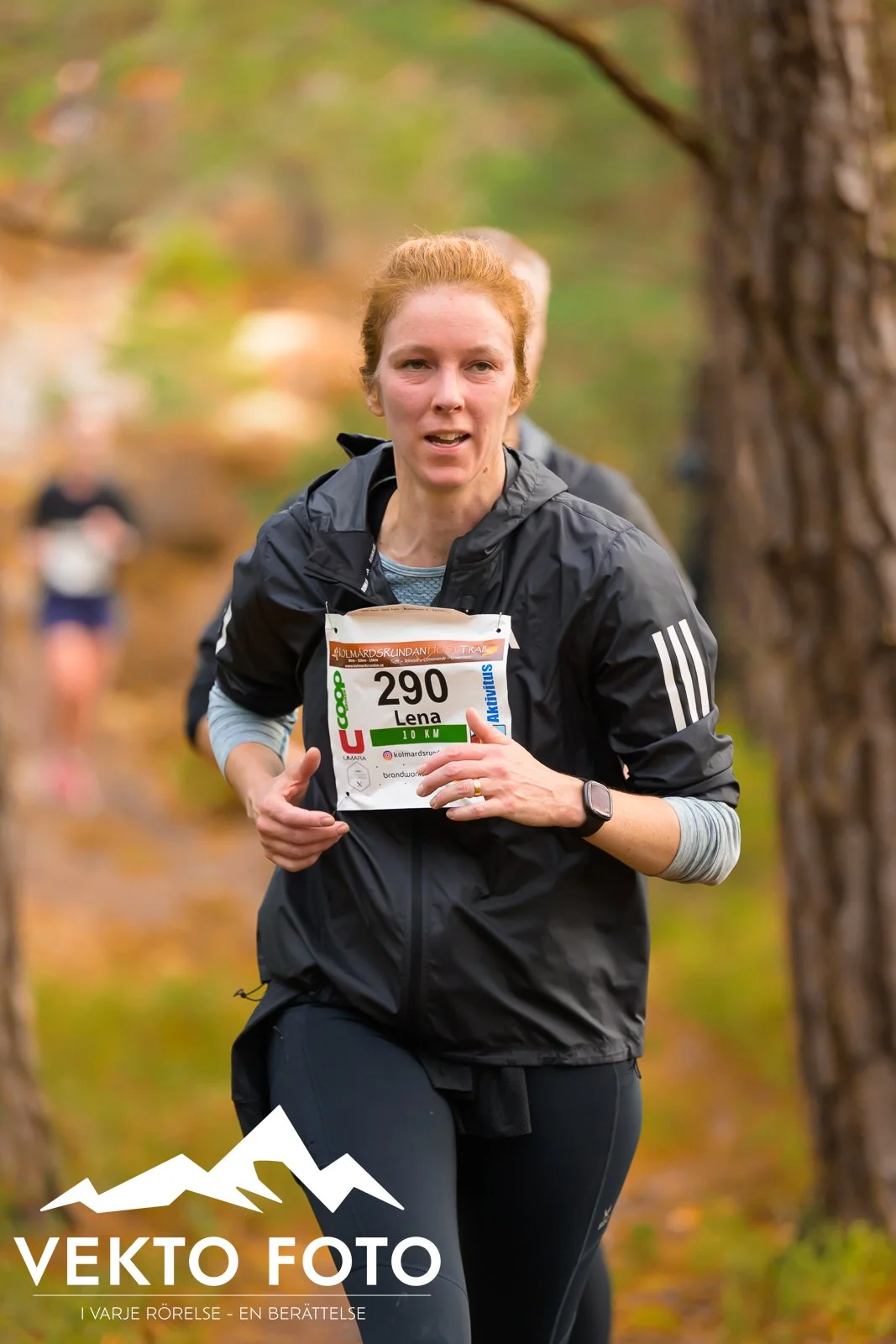 Kolmårdsrundan trail höst-381.jpg