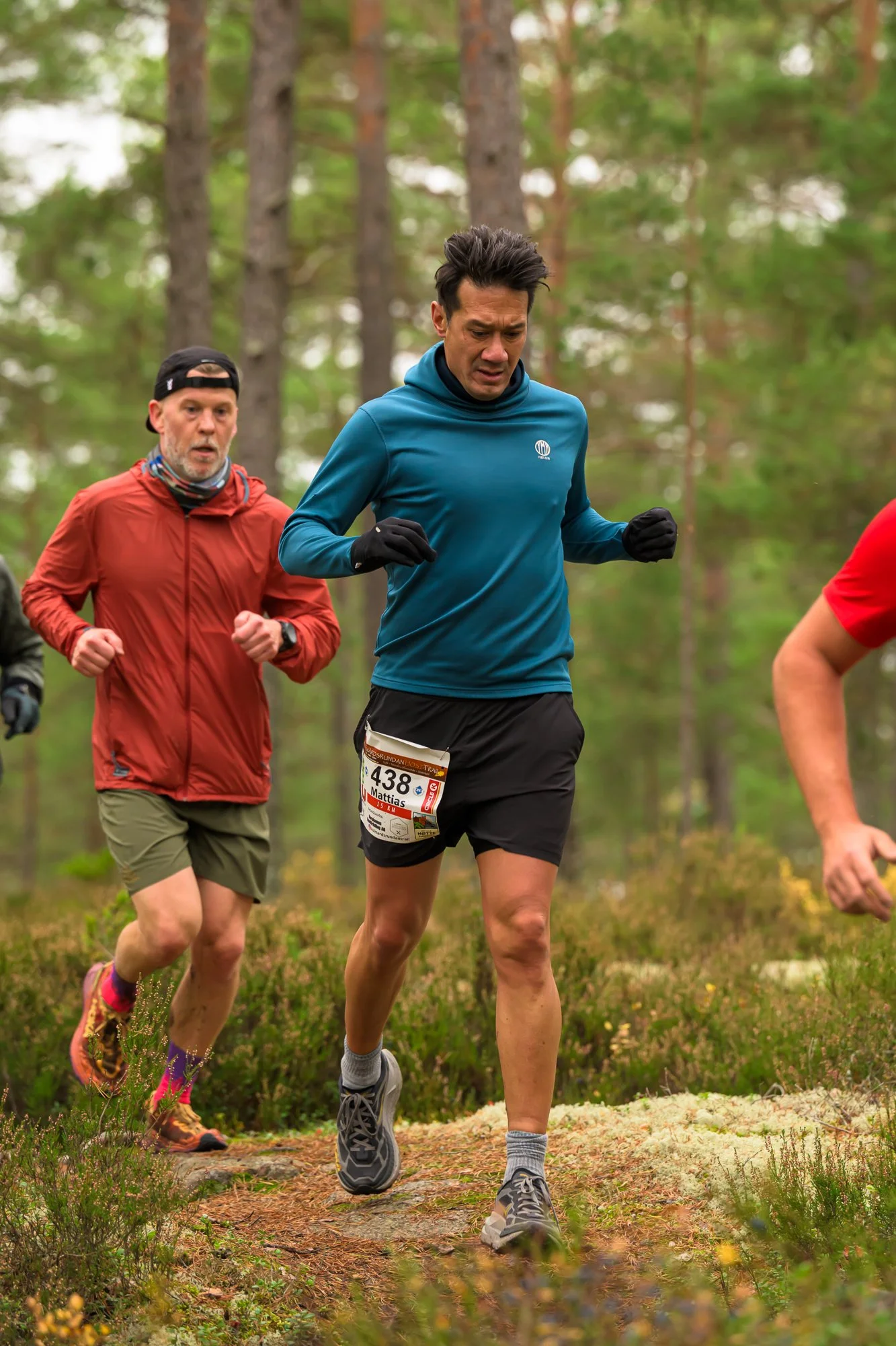 Kolmårdsrundan trail-196.jpg