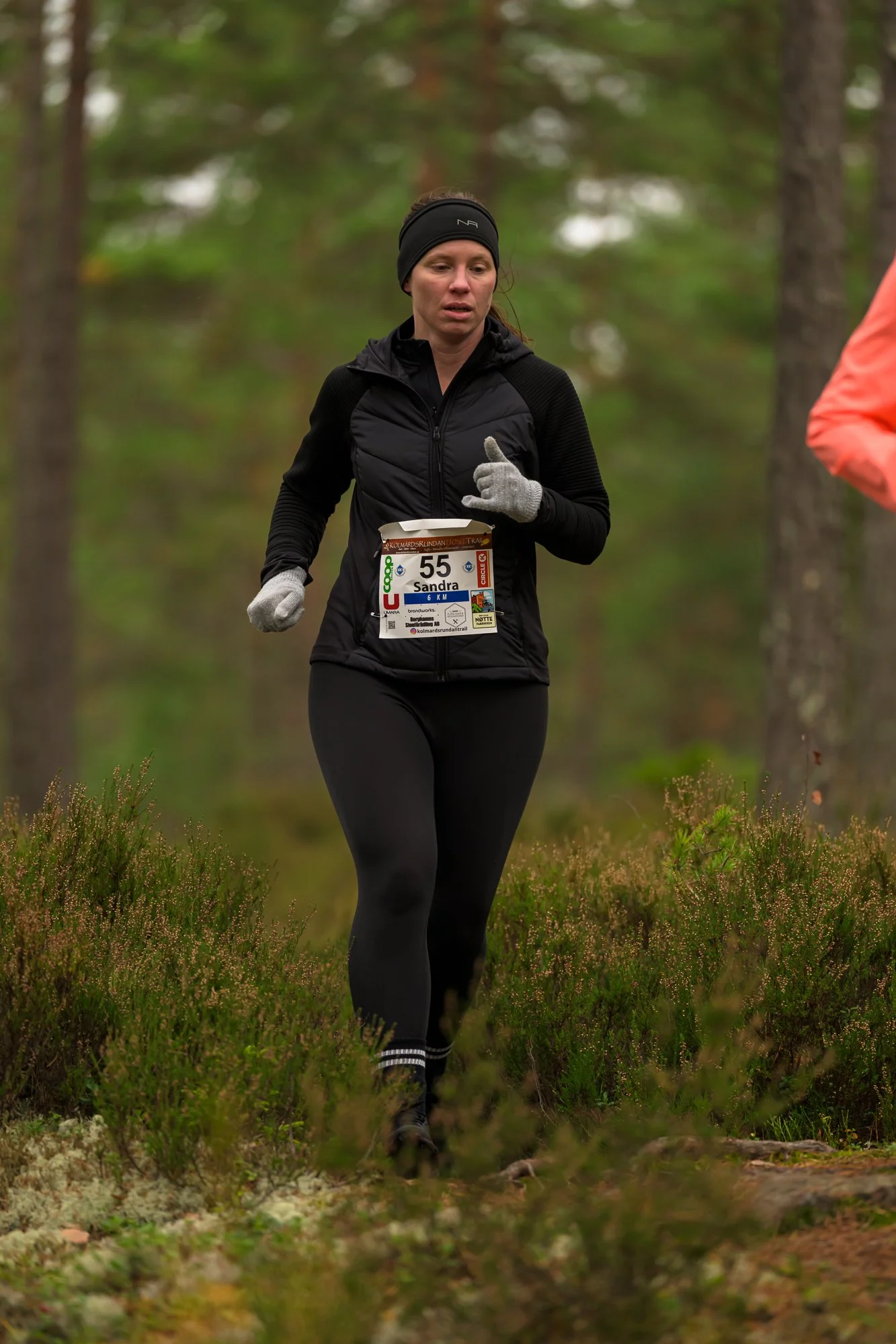 Kolmårdsrundan trail-104.jpg