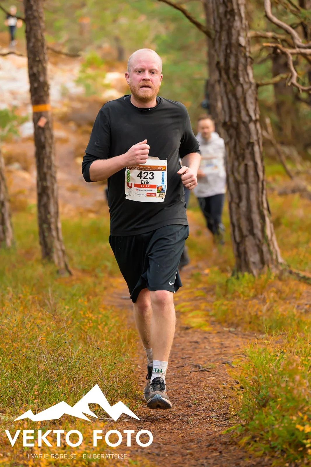 Kolmårdsrundan trail höst-453.jpg