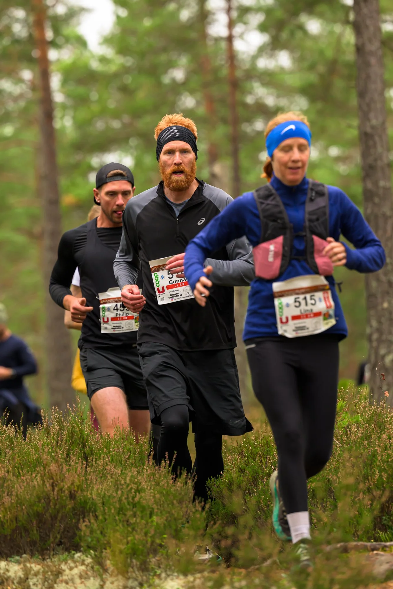 Kolmårdsrundan trail-250.jpg
