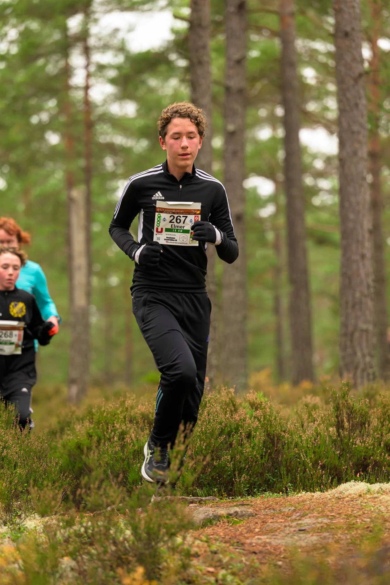 Kolmårdsrundan trail-25.jpg