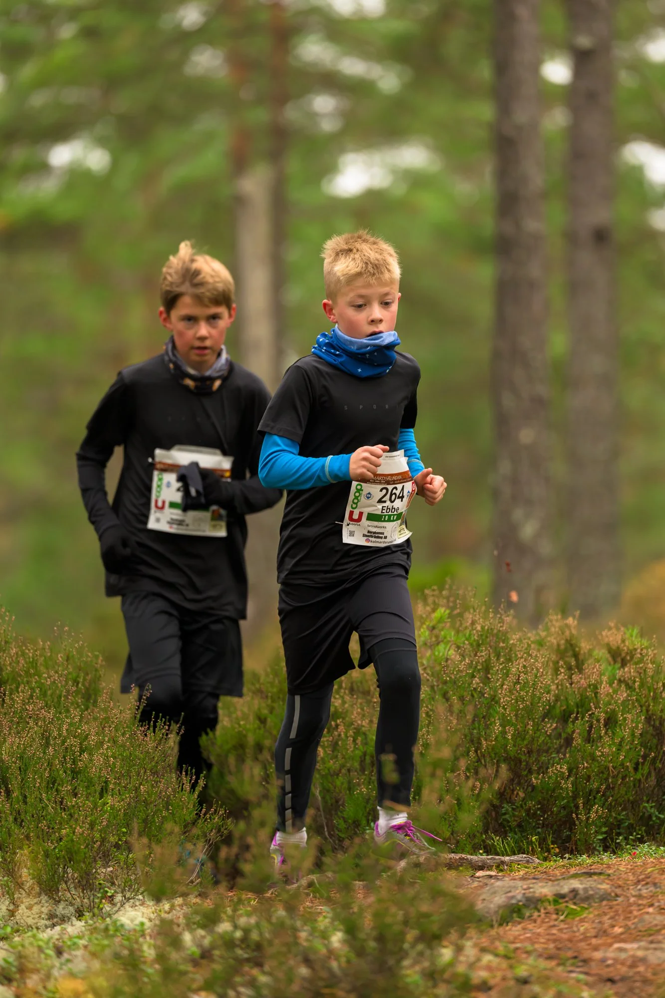 Kolmårdsrundan trail-30.jpg