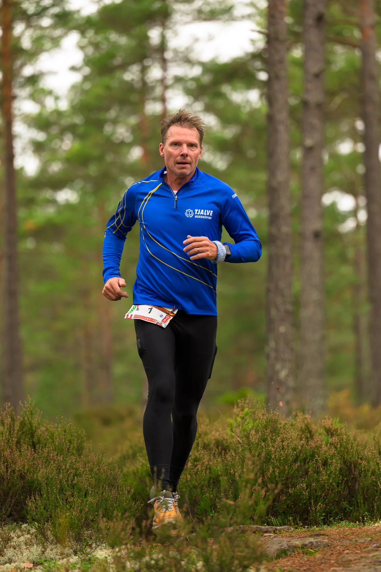 Kolmårdsrundan trail-11.jpg