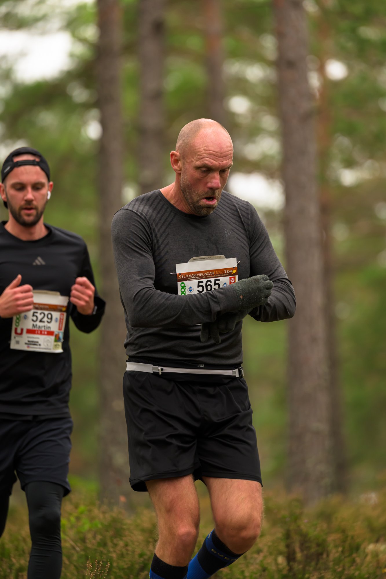 Kolmårdsrundan trail-150.jpg