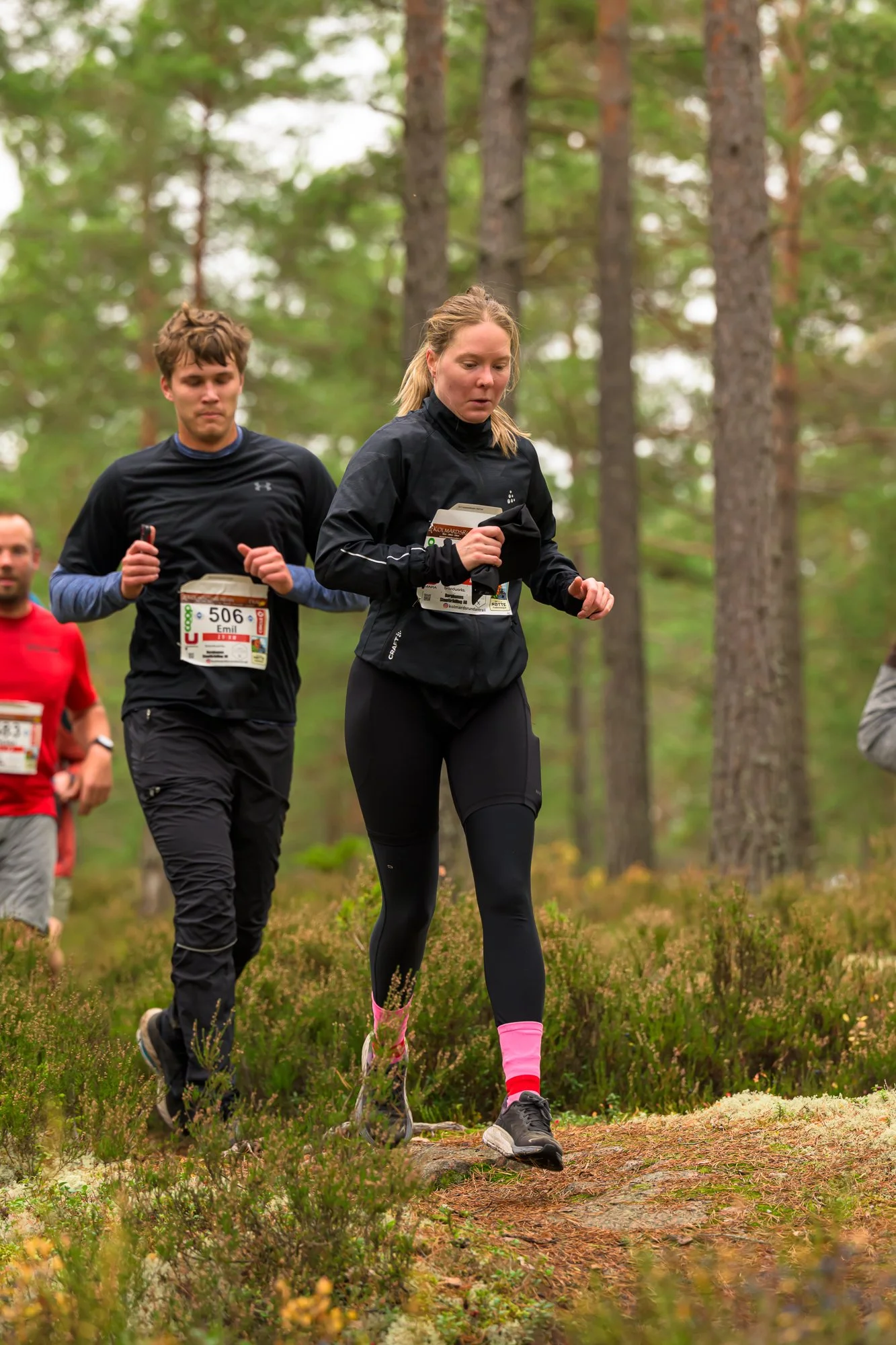 Kolmårdsrundan trail-193.jpg
