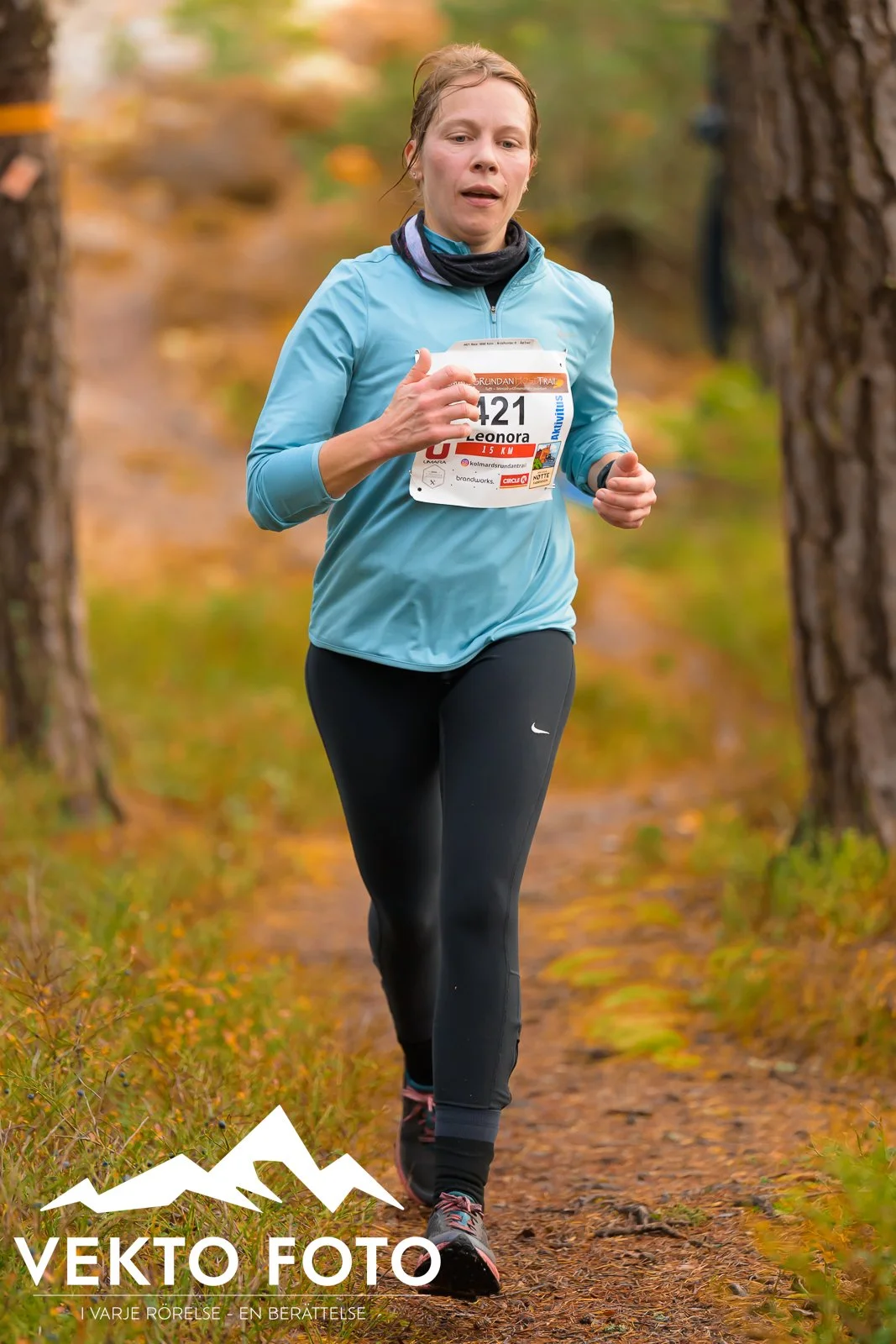 Kolmårdsrundan trail höst-350.jpg