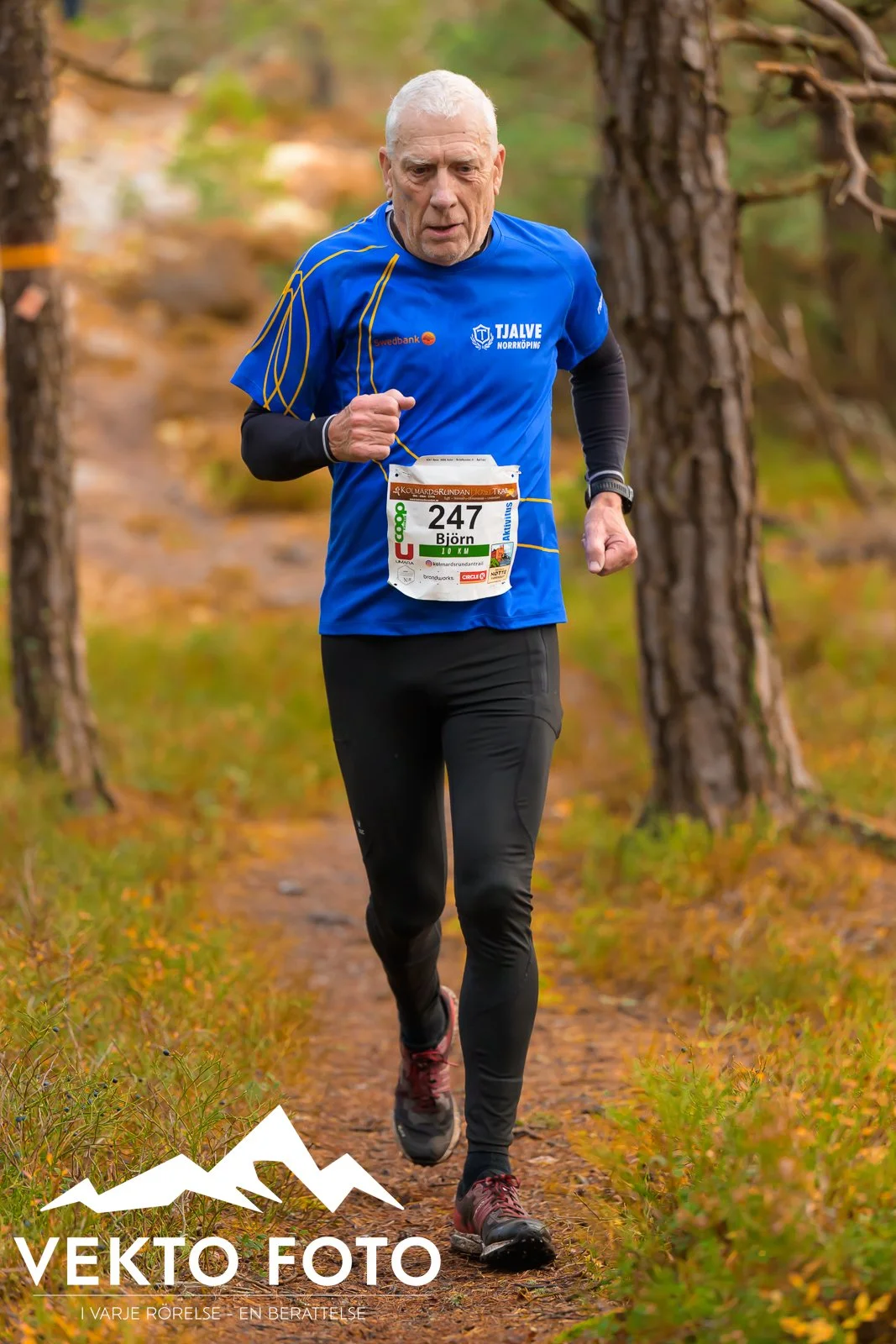 Kolmårdsrundan trail höst-485.jpg