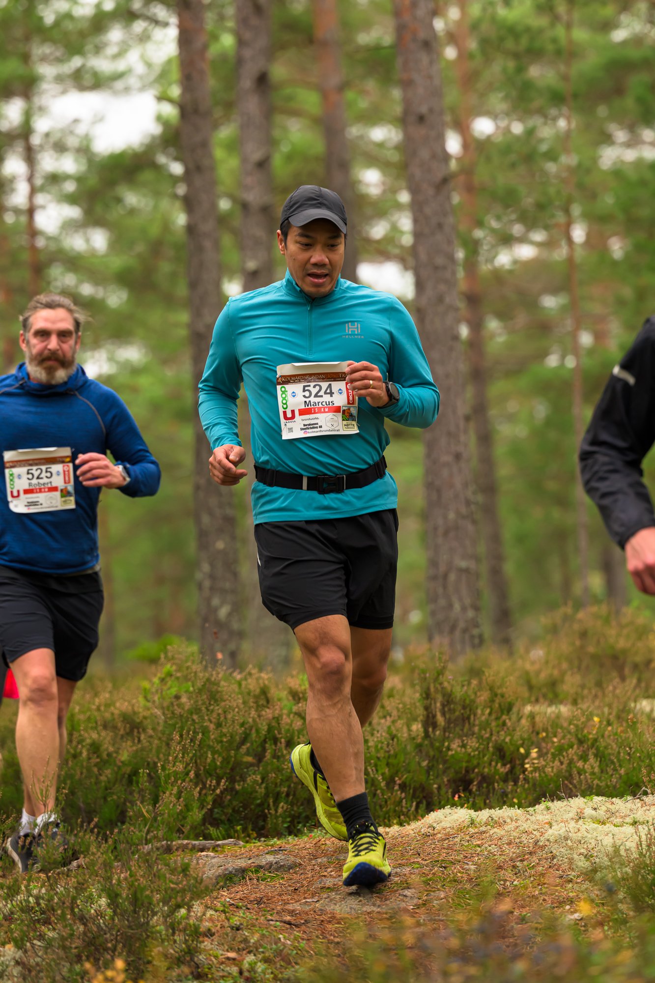 Kolmårdsrundan trail-241.jpg