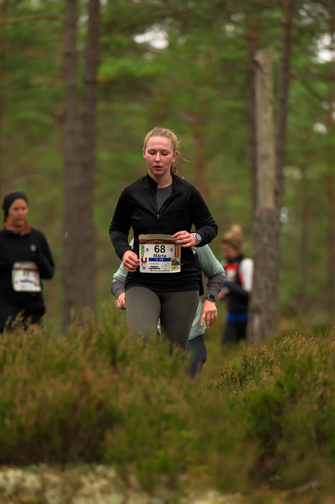 Kolmårdsrundan trail-107.jpg