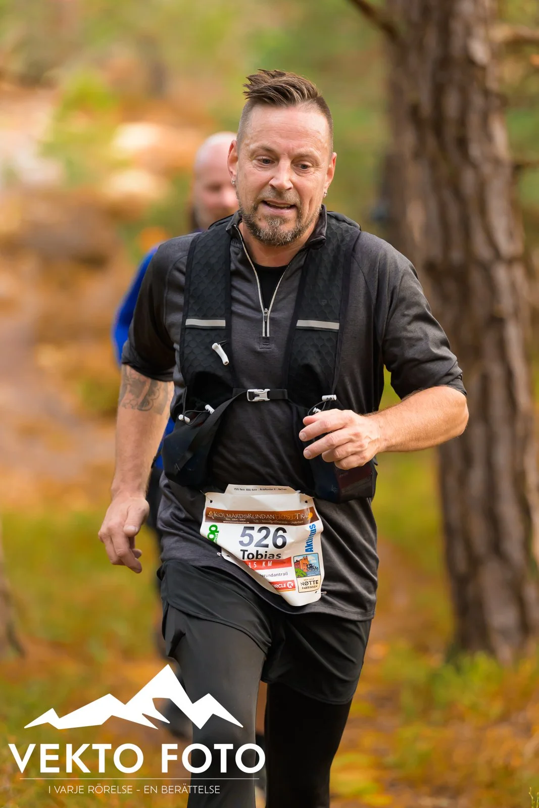 Kolmårdsrundan trail höst-389.jpg