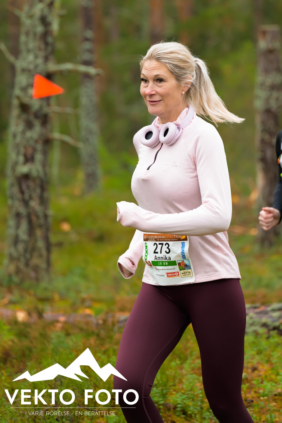 Kolmårdsrundan trail höst-216.jpg