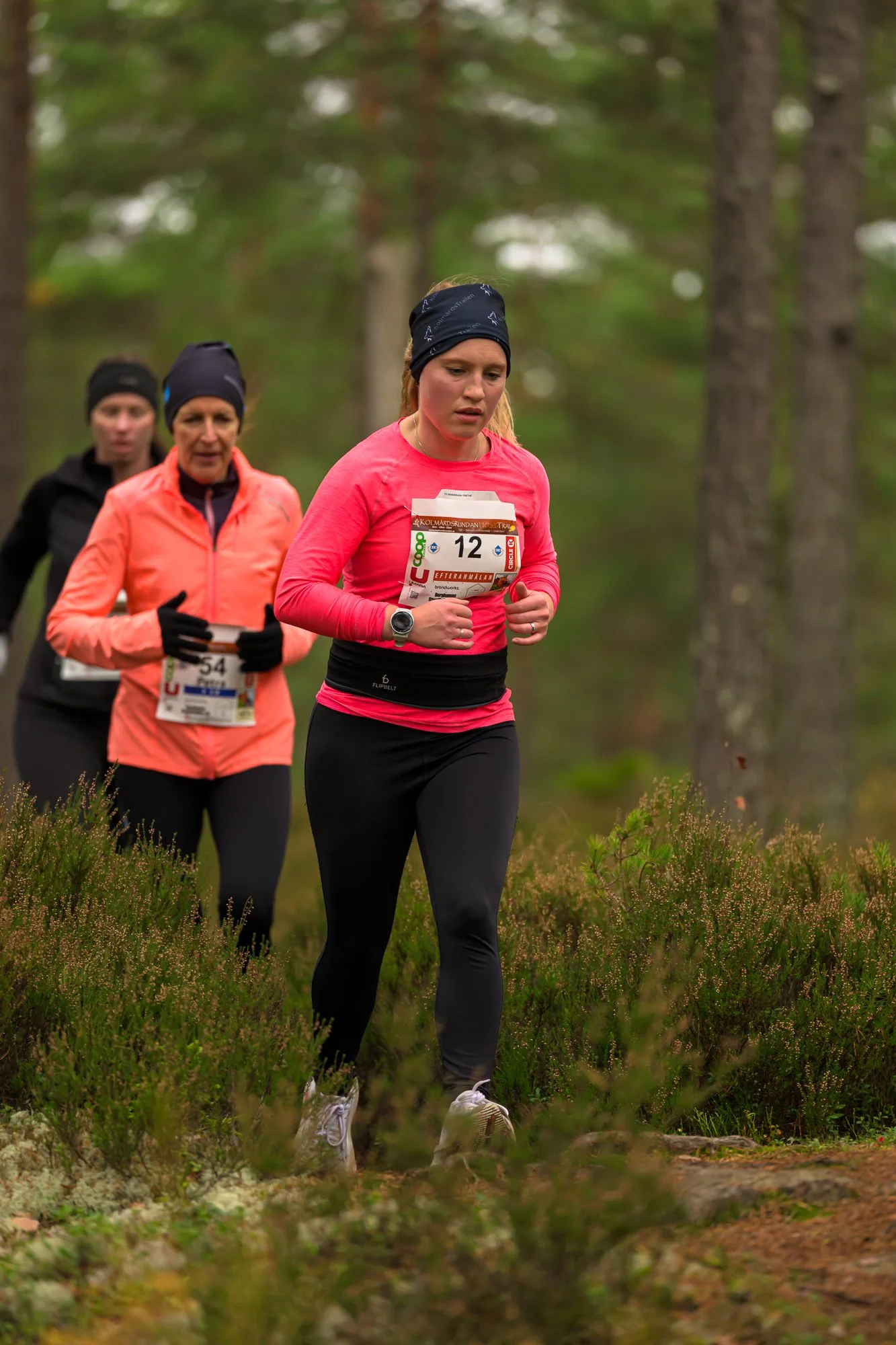 Kolmårdsrundan trail-102.jpg