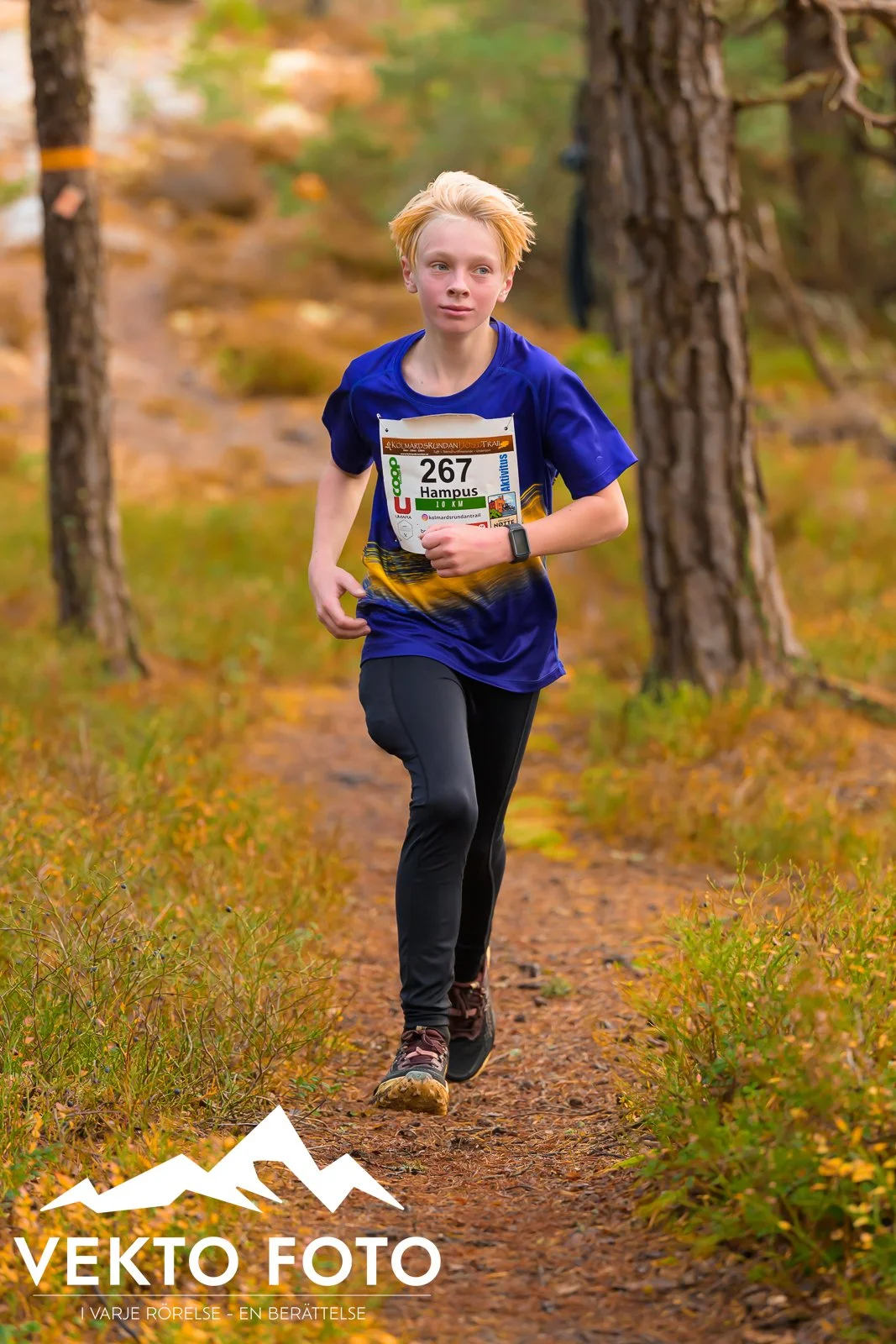 Kolmårdsrundan trail höst-278.jpg