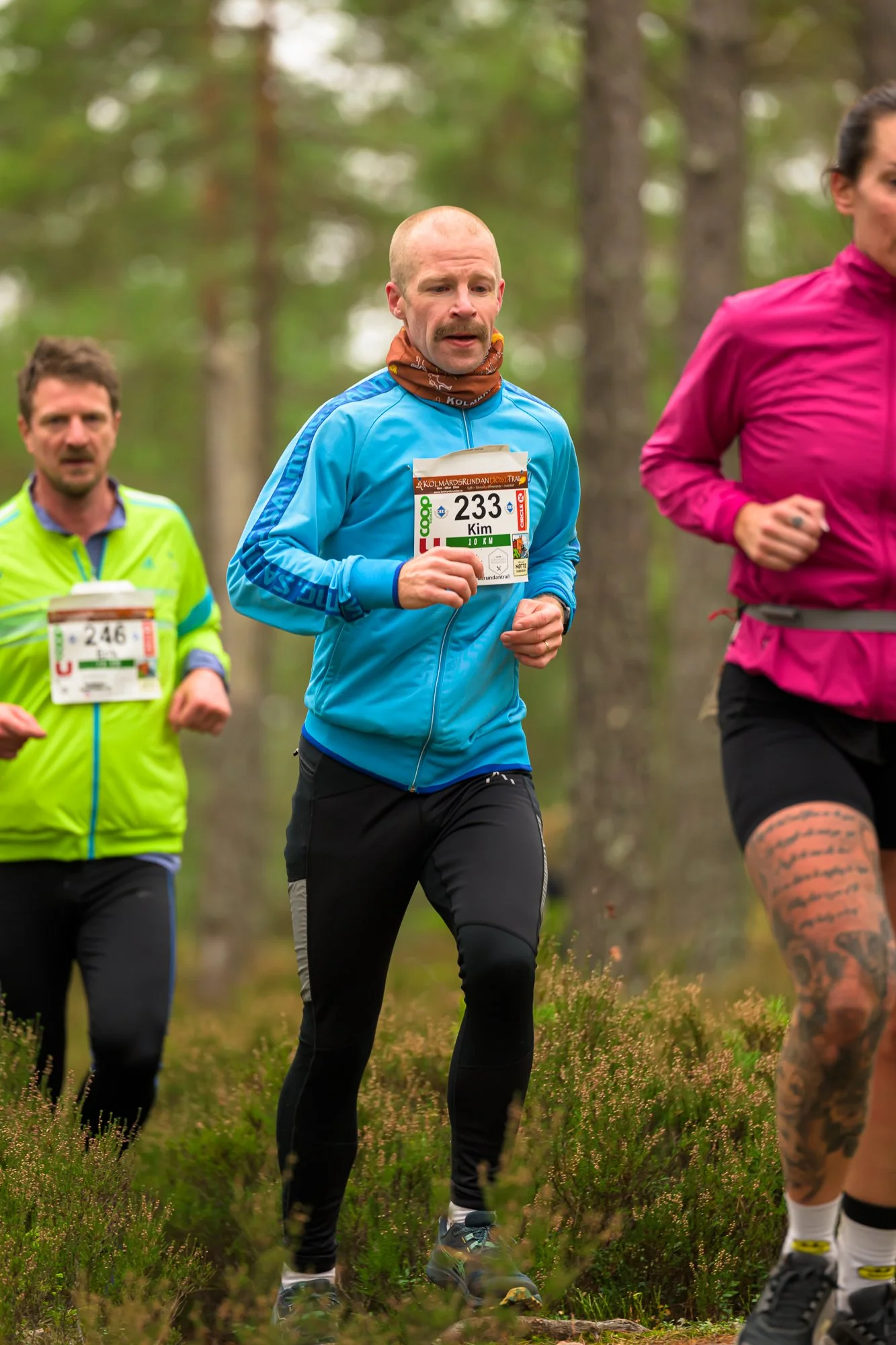 Kolmårdsrundan trail-18.jpg