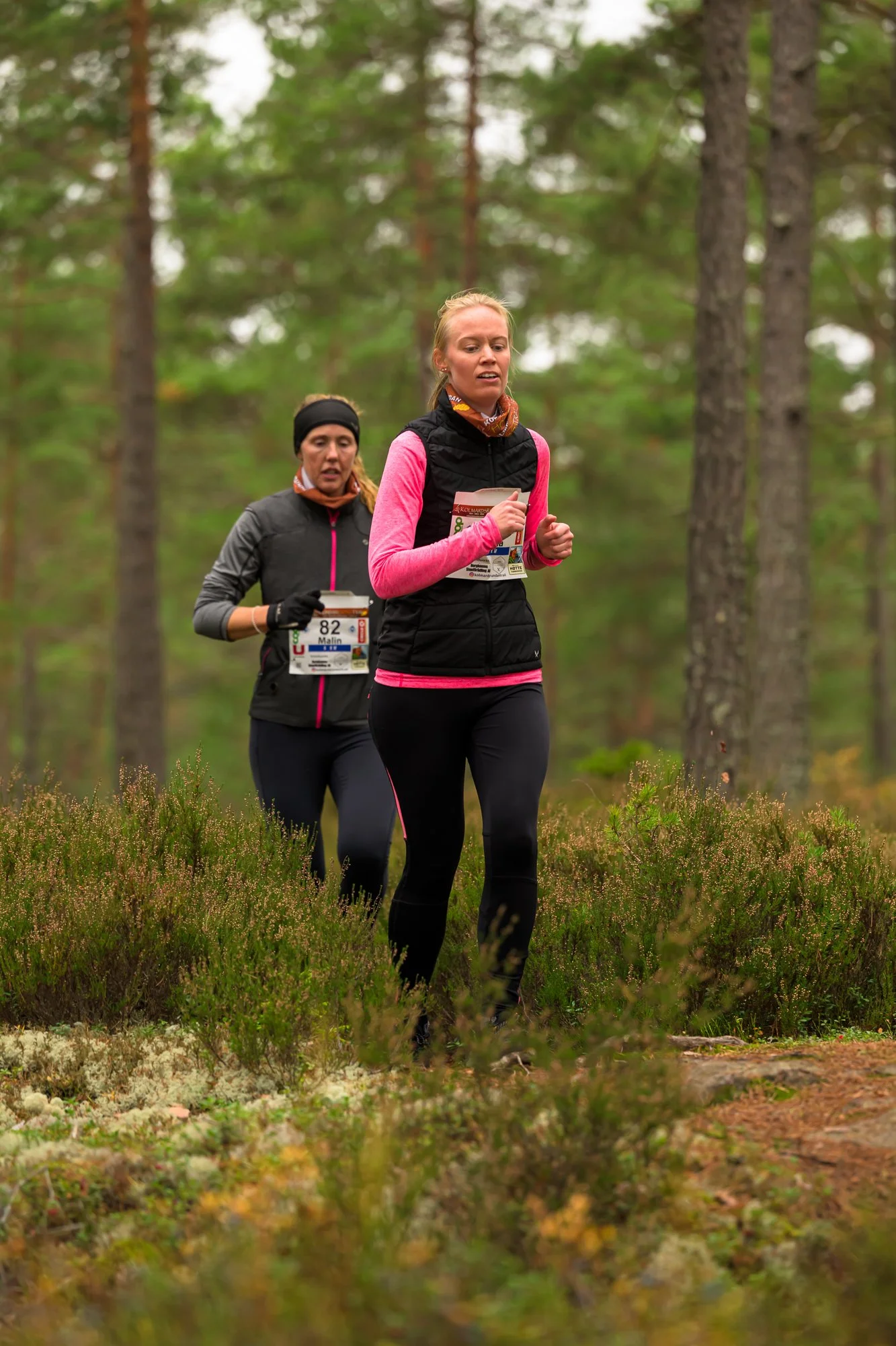 Kolmårdsrundan trail-74.jpg
