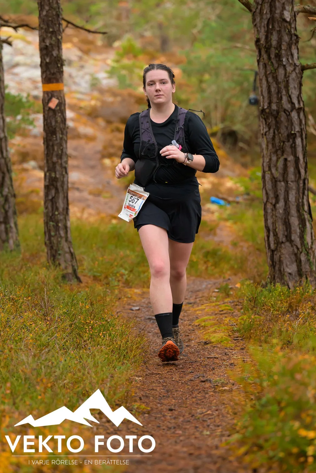 Kolmårdsrundan trail höst-591.jpg