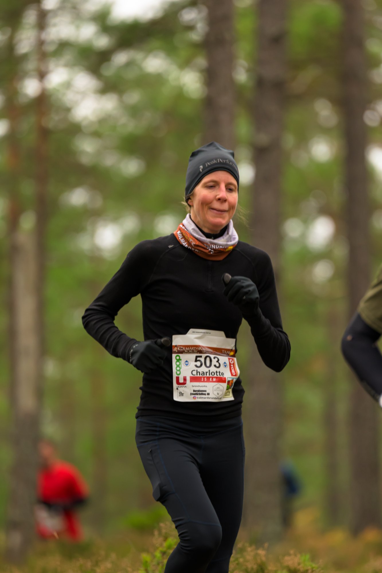 Kolmårdsrundan trail-173.jpg