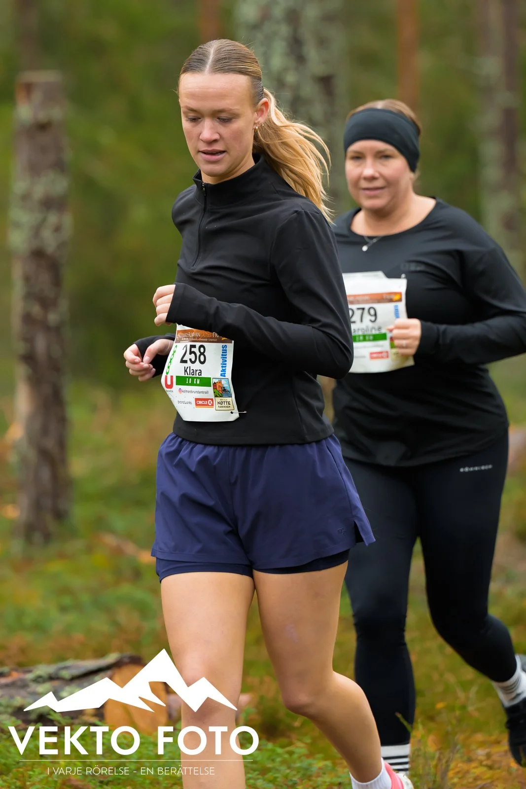 Kolmårdsrundan trail höst-177.jpg