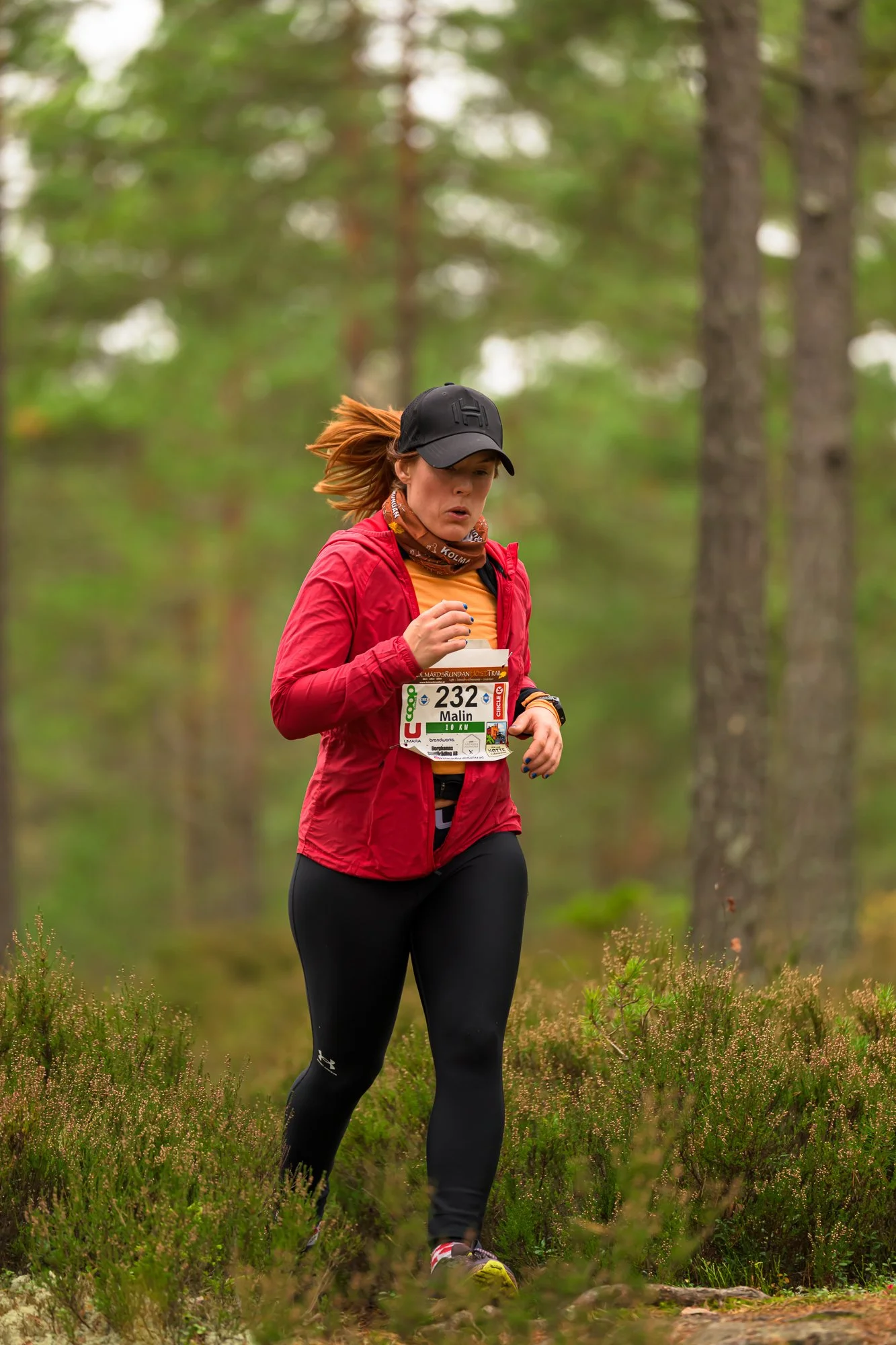 Kolmårdsrundan trail-22.jpg