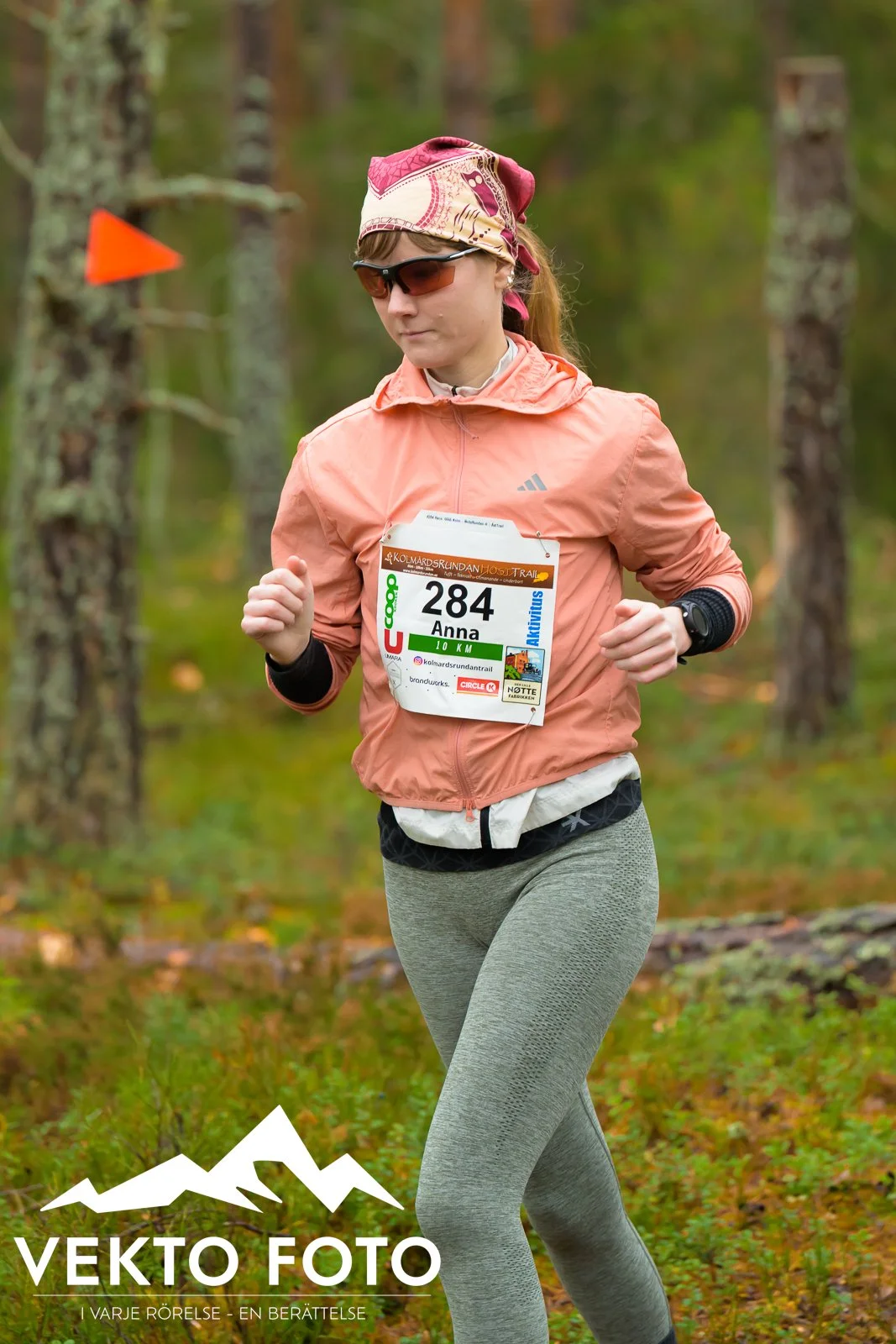Kolmårdsrundan trail höst-211.jpg
