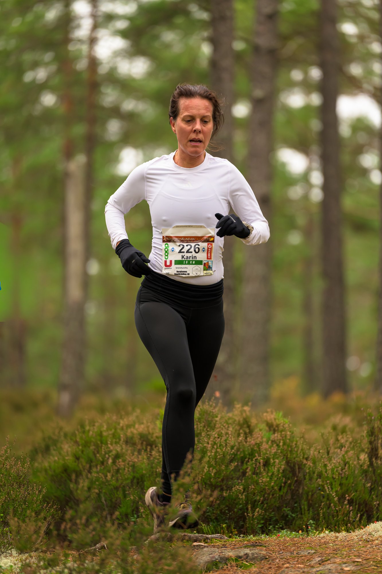 Kolmårdsrundan trail-5.jpg