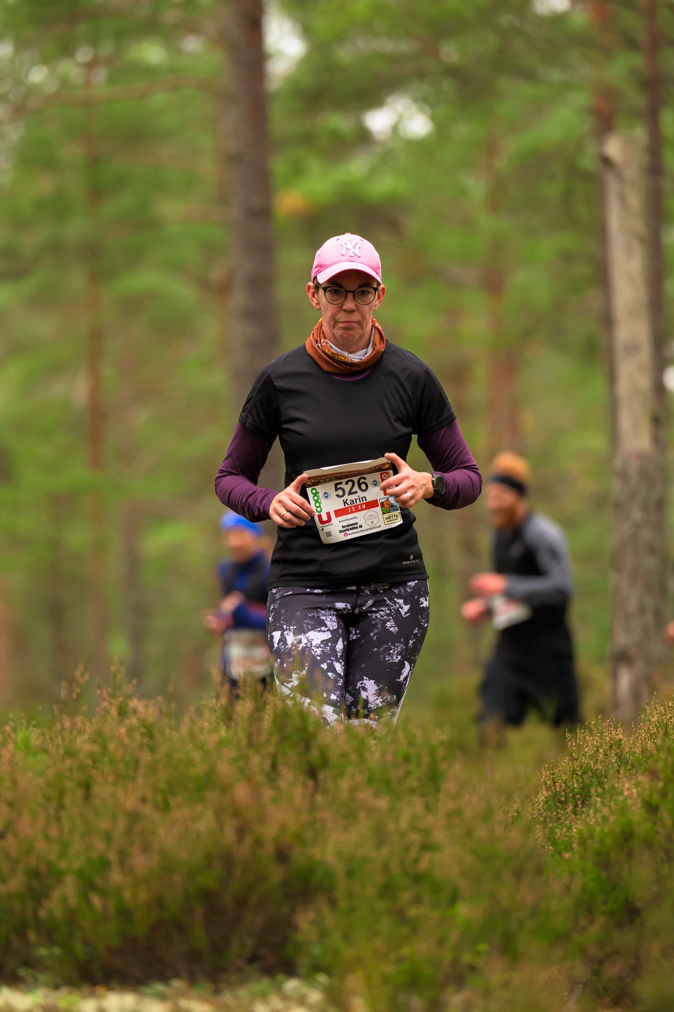 Kolmårdsrundan trail-248.jpg