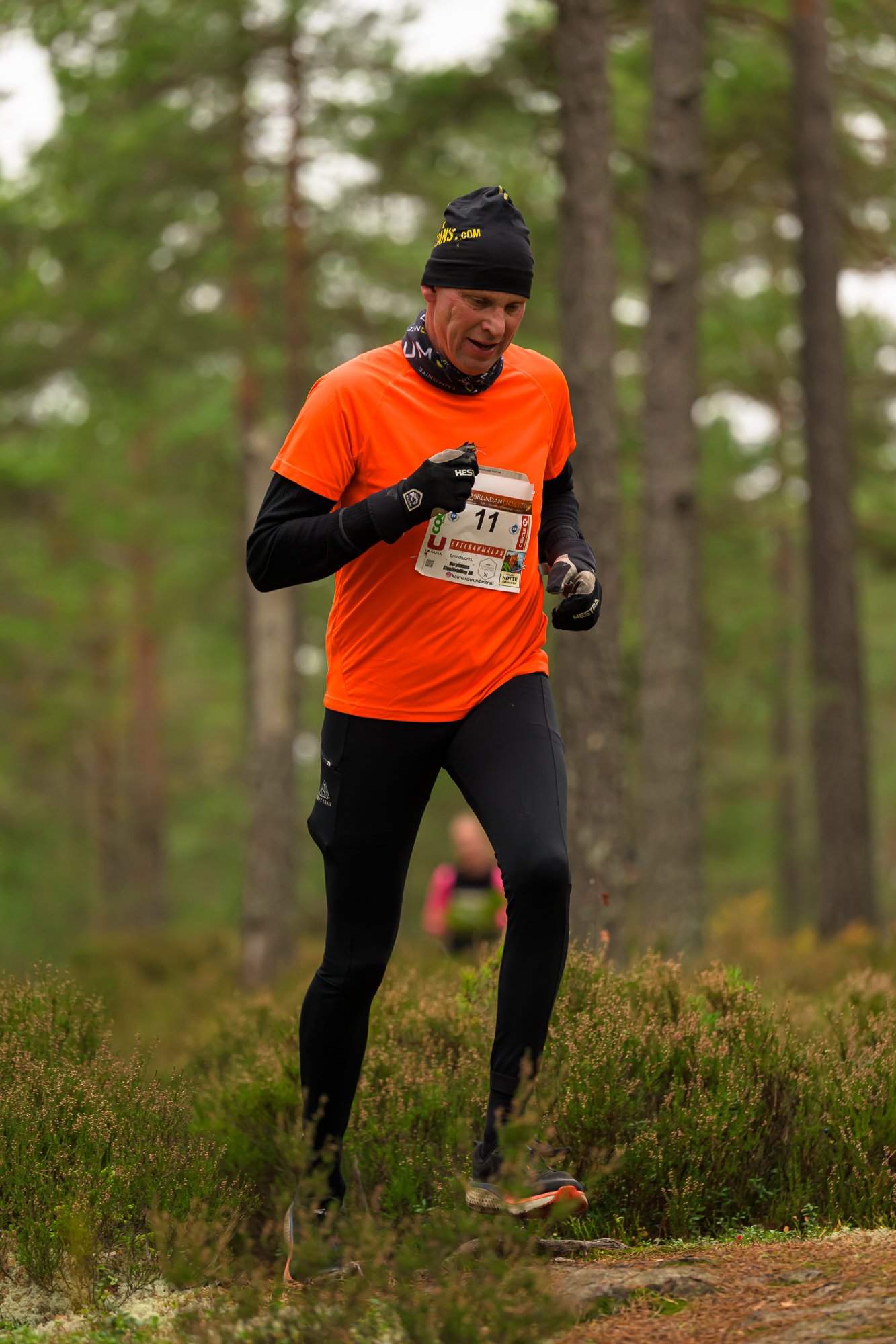 Kolmårdsrundan trail-72.jpg