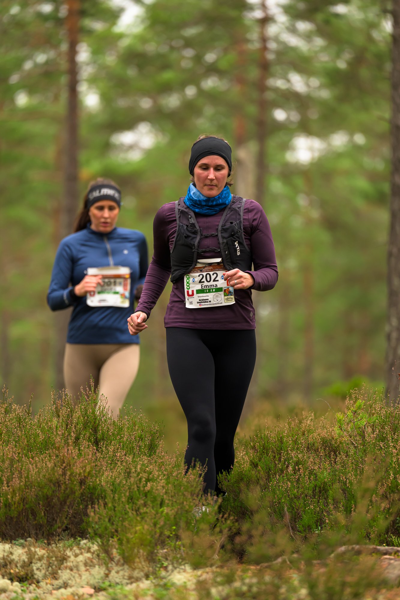 Kolmårdsrundan trail-60.jpg