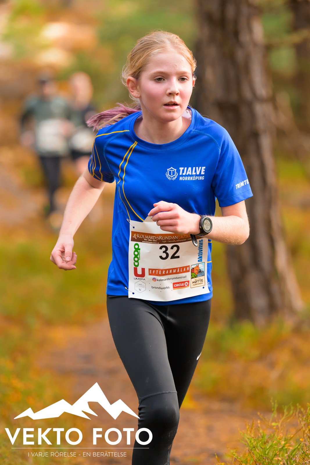 Kolmårdsrundan trail höst-383.jpg