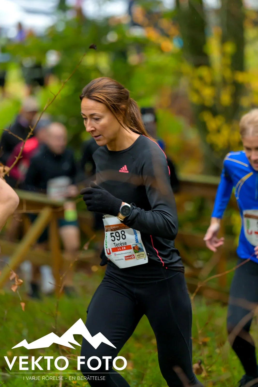 Kolmårdsrundan trail höst-63.jpg