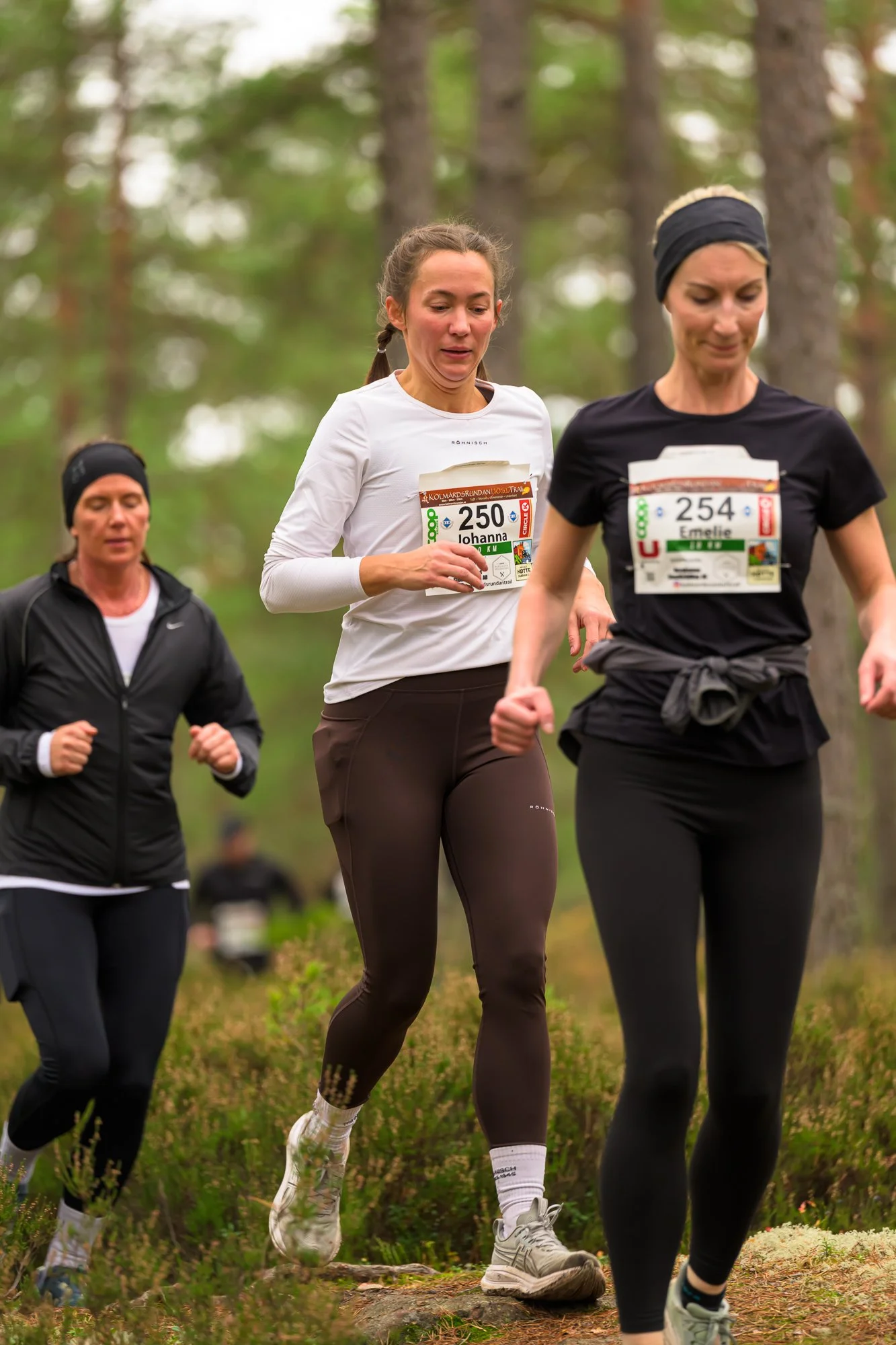 Kolmårdsrundan trail-34.jpg