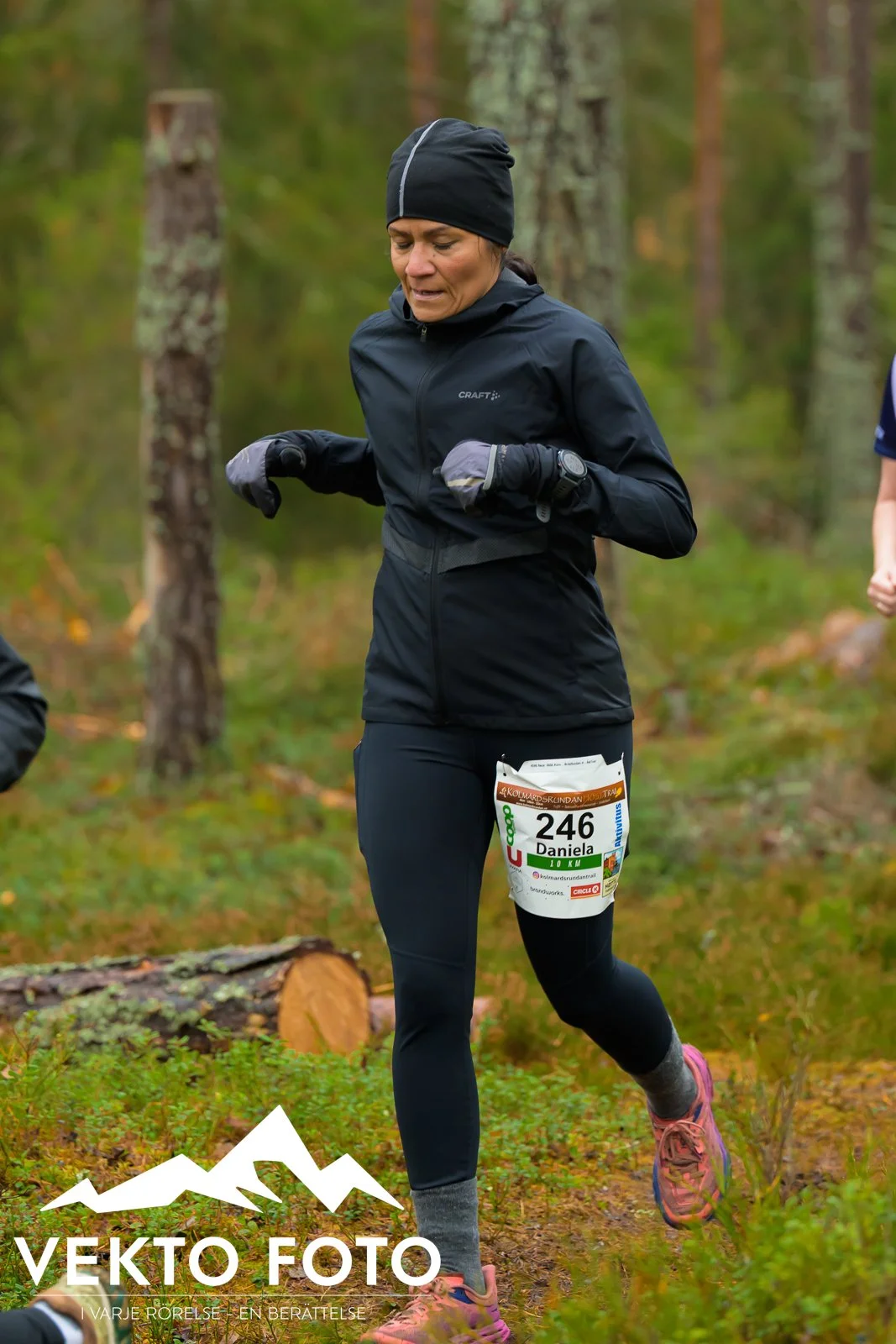 Kolmårdsrundan trail höst-199.jpg