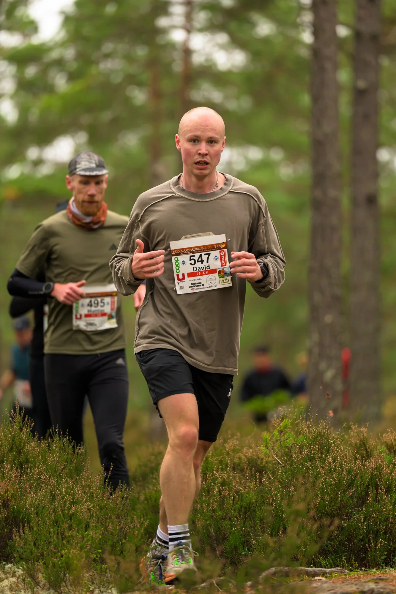 Kolmårdsrundan trail-171.jpg