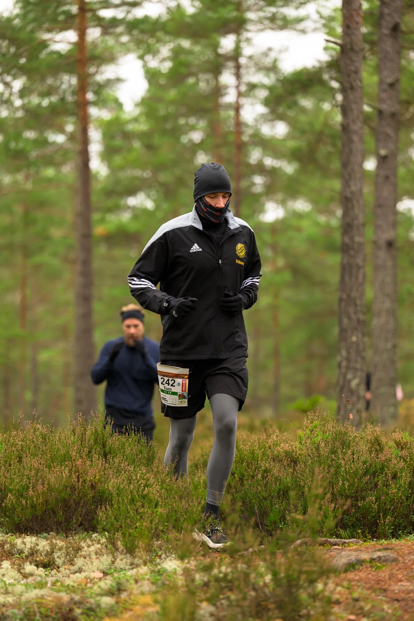 Kolmårdsrundan trail-43.jpg