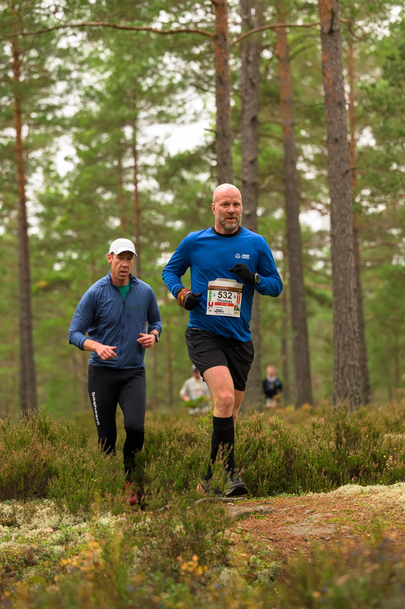Kolmårdsrundan trail-188.jpg