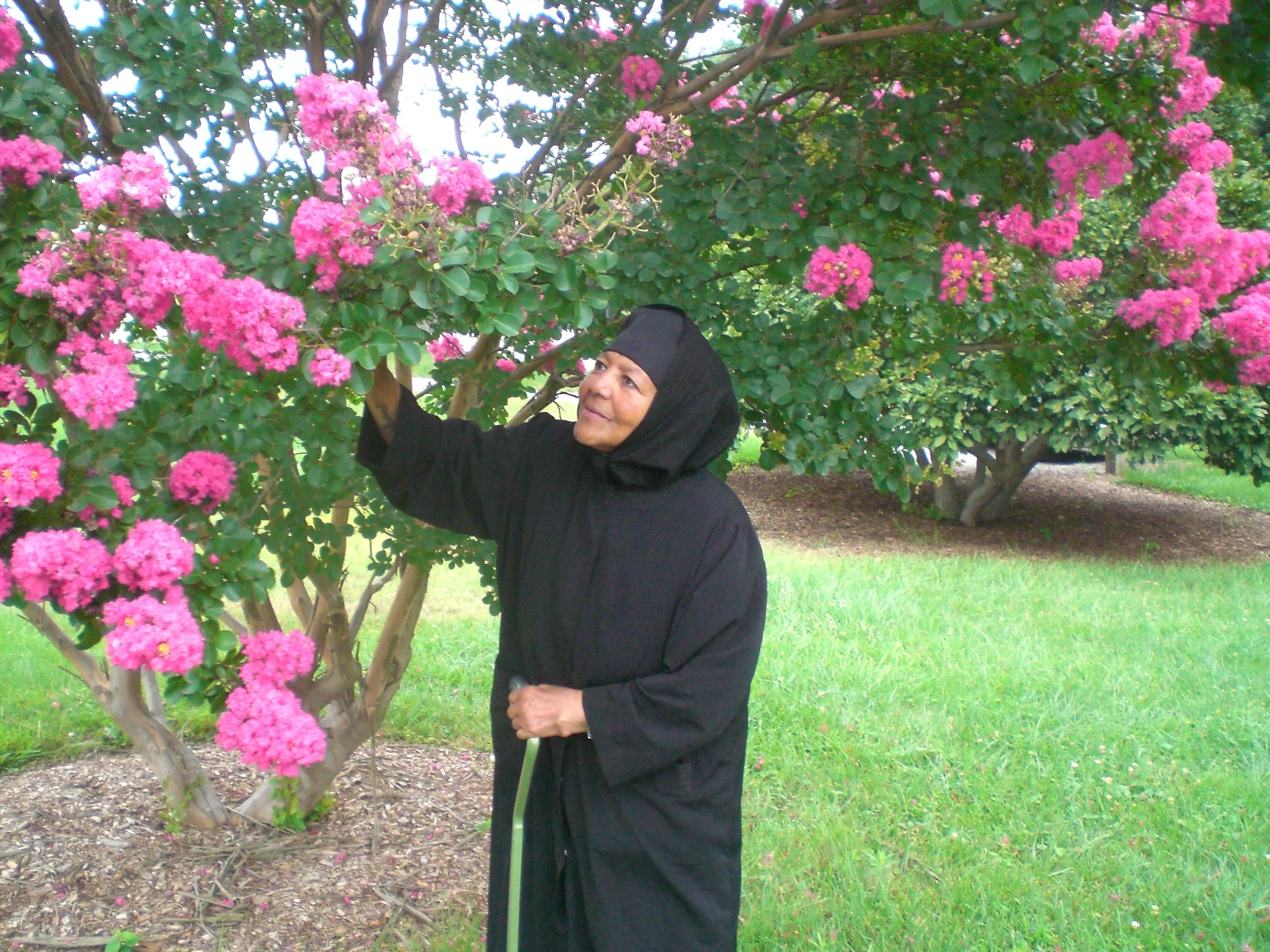 An elderly woman wearing a black headscarf and black coat standing outdoors, reaching up to touch a pink flowering bush in a park or garden.