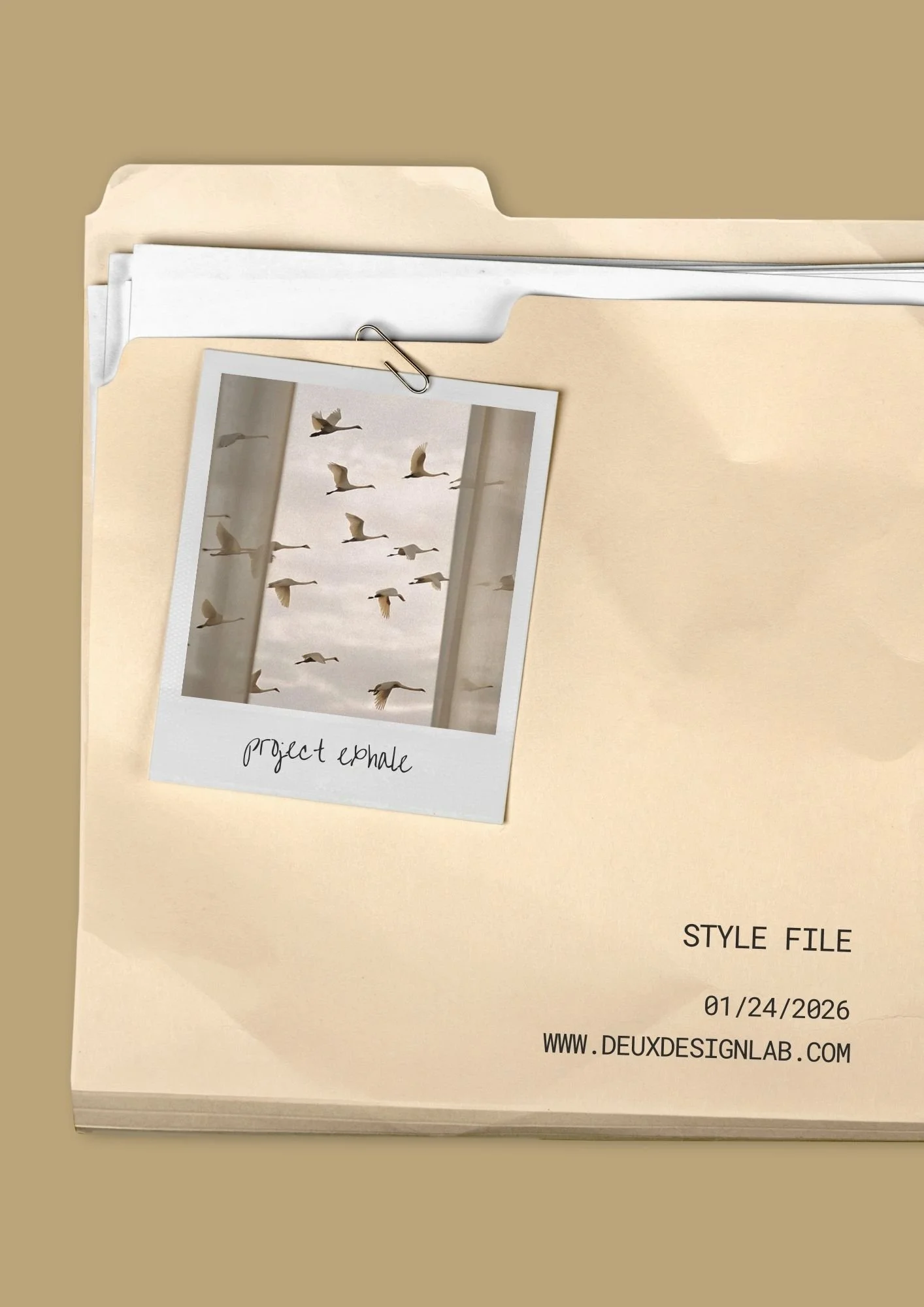 (I) Portfolio - Project Exhale.jpg