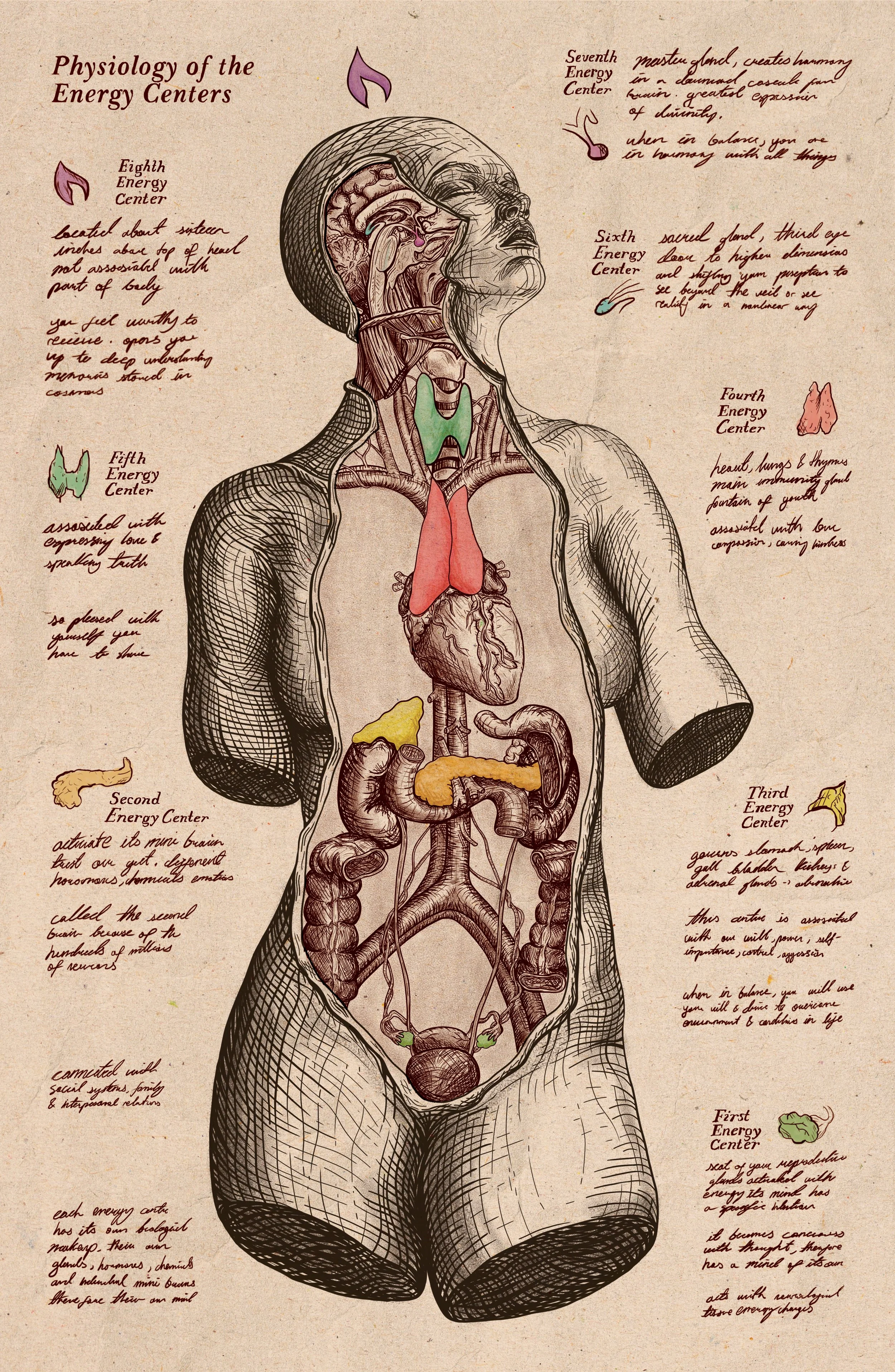 Diagram of the human body illustrating the physiology of energy centers with handwritten descriptions in red ink, highlighting seven energy centers from First to Seventh, each associated with different physical and spiritual functions. The diagram shows internal organs such as the brain, heart, stomach, and kidneys, with annotations explaining the significance of each energy center.