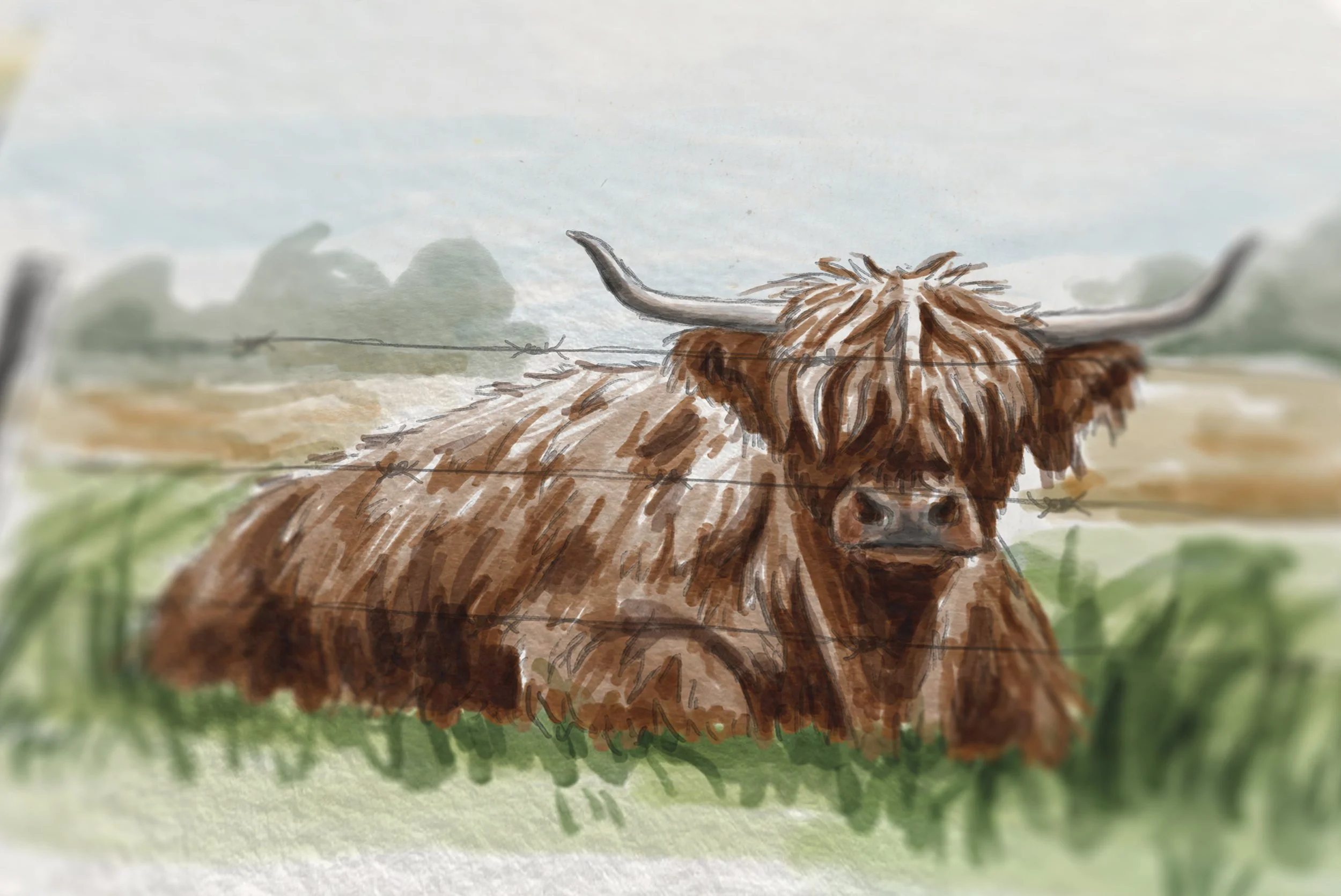 A painted or illustrated Highland cow with long brown fur and large horns, standing behind a barbed wire fence in a rural landscape with green grass, a field, and a cloudy sky in the background.