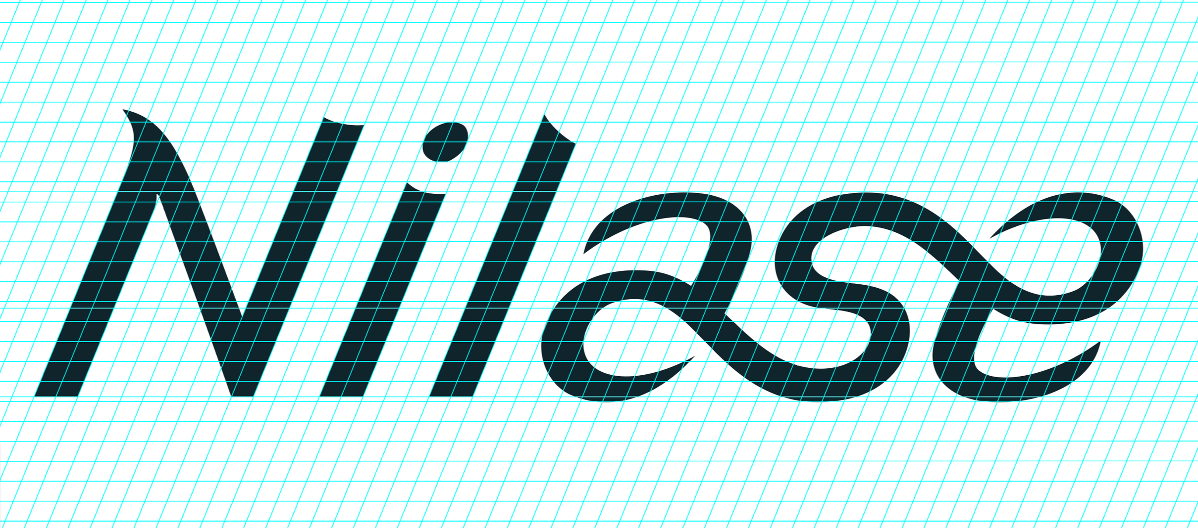 Close-up of the word 'NILFISH' in black, bold, stylized font, on a grid-lined background.