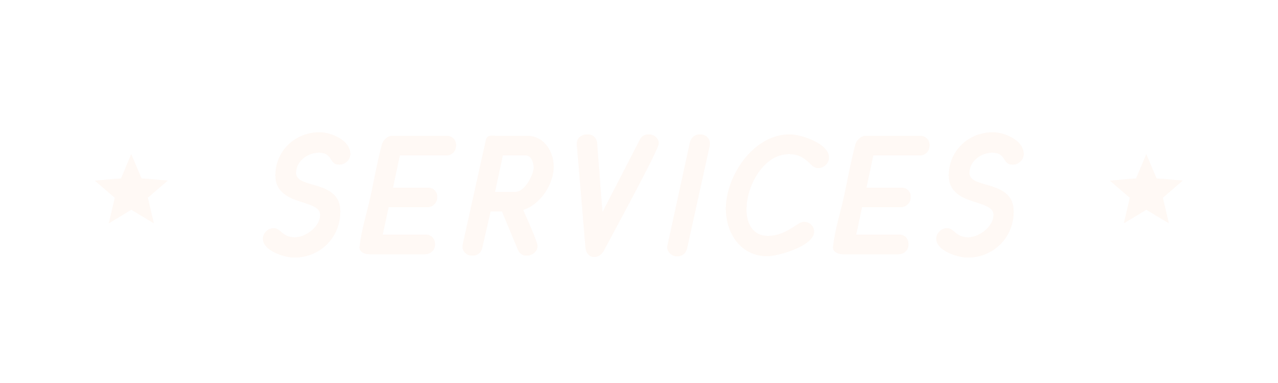 Black sign with white text reading 'Services' flanked by two stars.