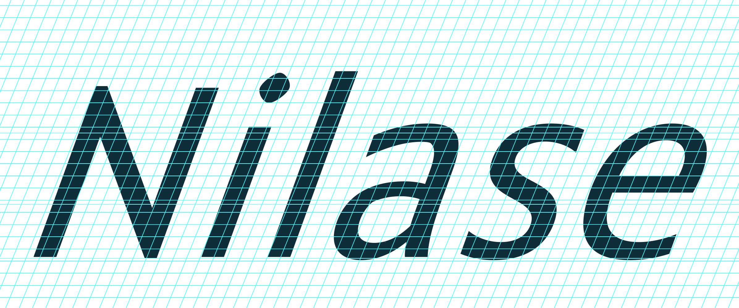 Close-up of the word 'Niche' in bold black text on a light background with blue grid lines.