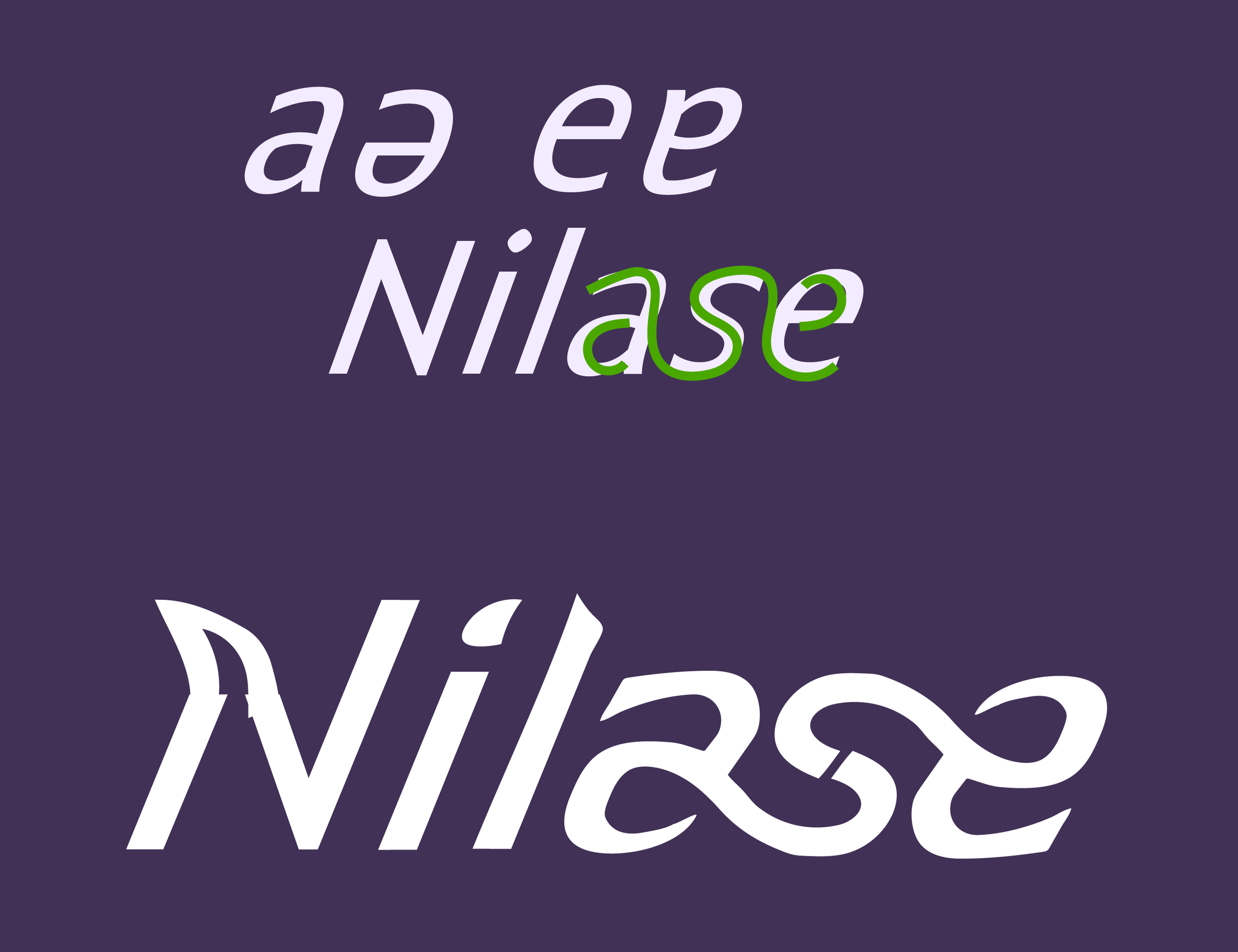 Text in different font styles and colors on a purple background. The words are rotated and include 'aa ee' in light purple, 'Nilease' with 'Nila' in white and 'se' in green, also in light purple, and 'Nilease' in large white font with mirrored effect.