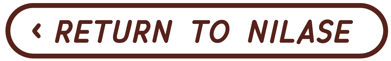 A digital sign with an arrow pointing left and the text 'RETURN TO NILASE' in all caps.