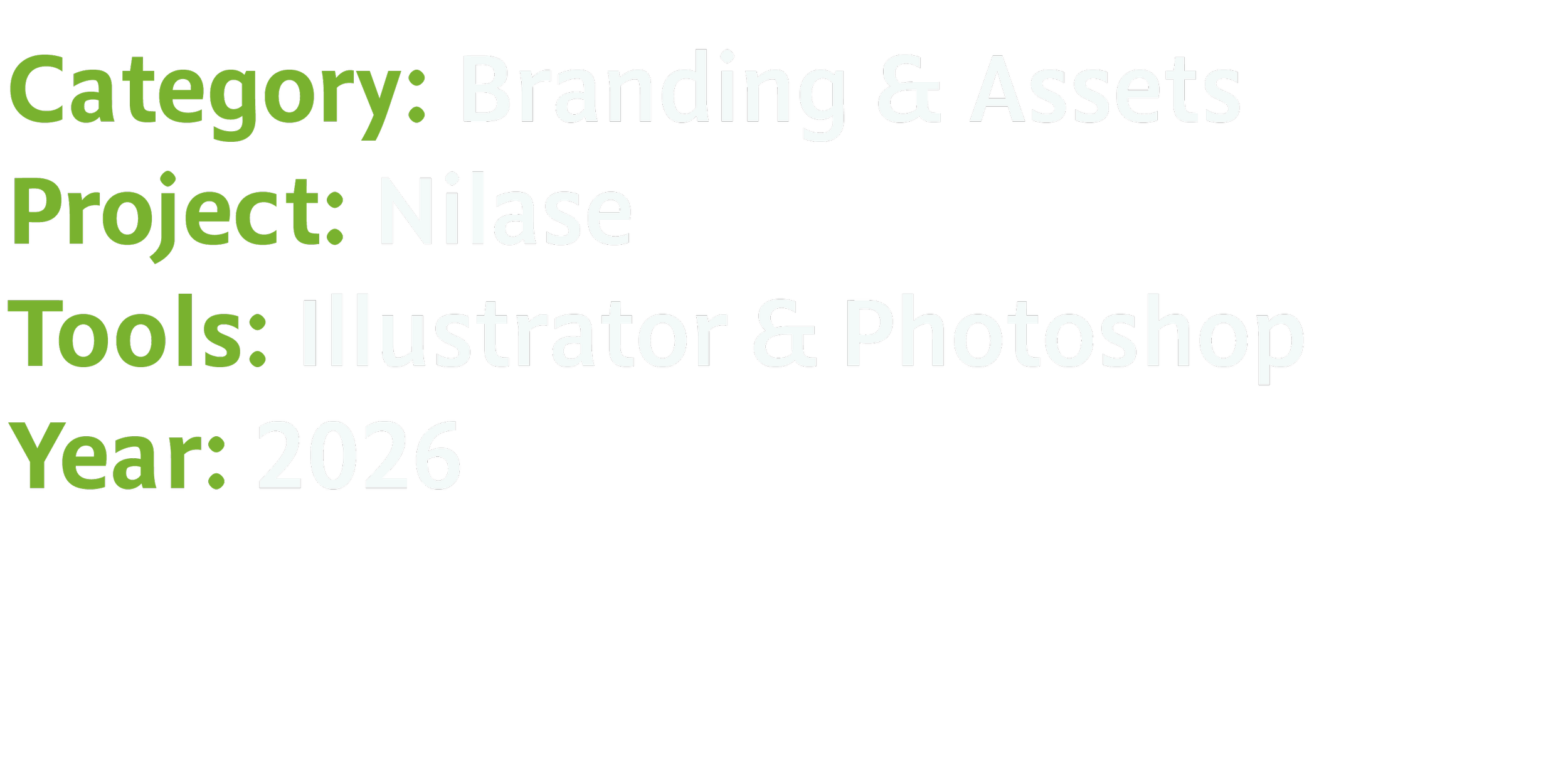 Text-based graphic listing project details: category: Branding & Assets, project: Nilase, tools: Illustrator & Photoshop, year: 2026.