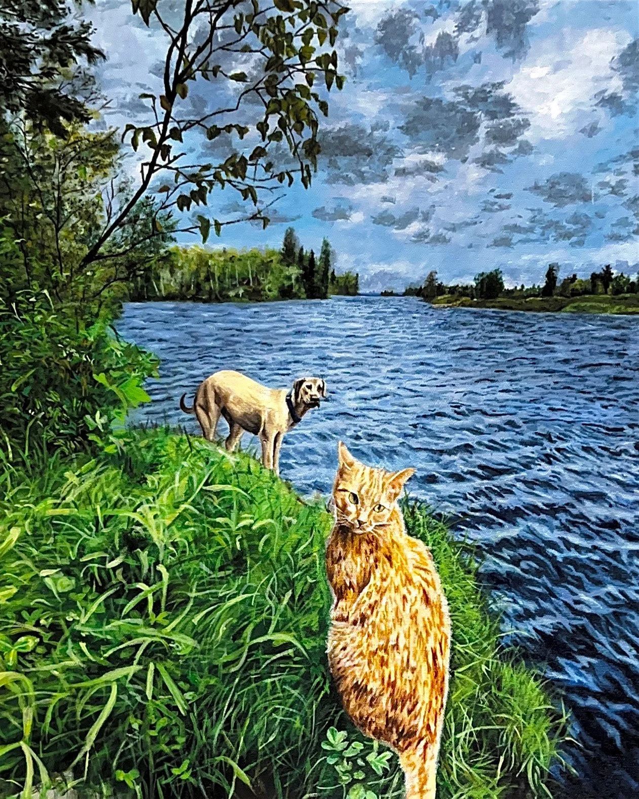 A cartoon-style illustration of a river scene with green grass and trees along the banks, a cat in the foreground, and a dog further back by the water, with a cloudy sky above.