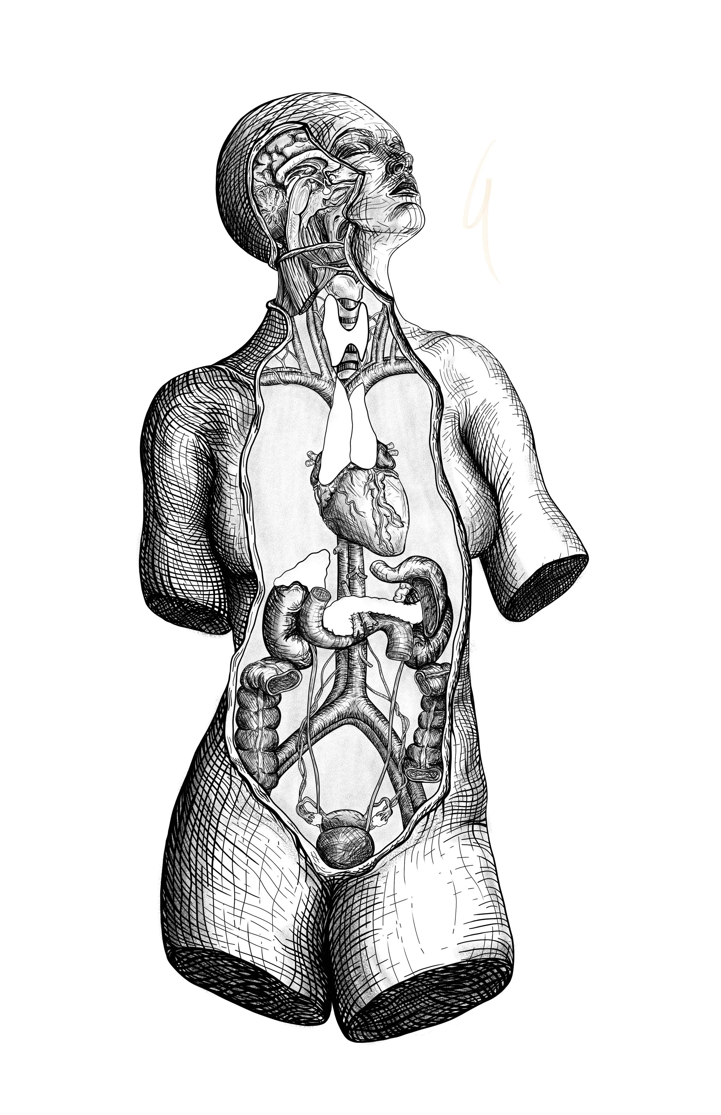 Black and white anatomical illustration of a human body with internal organs visible, including the brain, heart, lungs, stomach, and intestines, with a woman’s face turned upward and eyes closed.