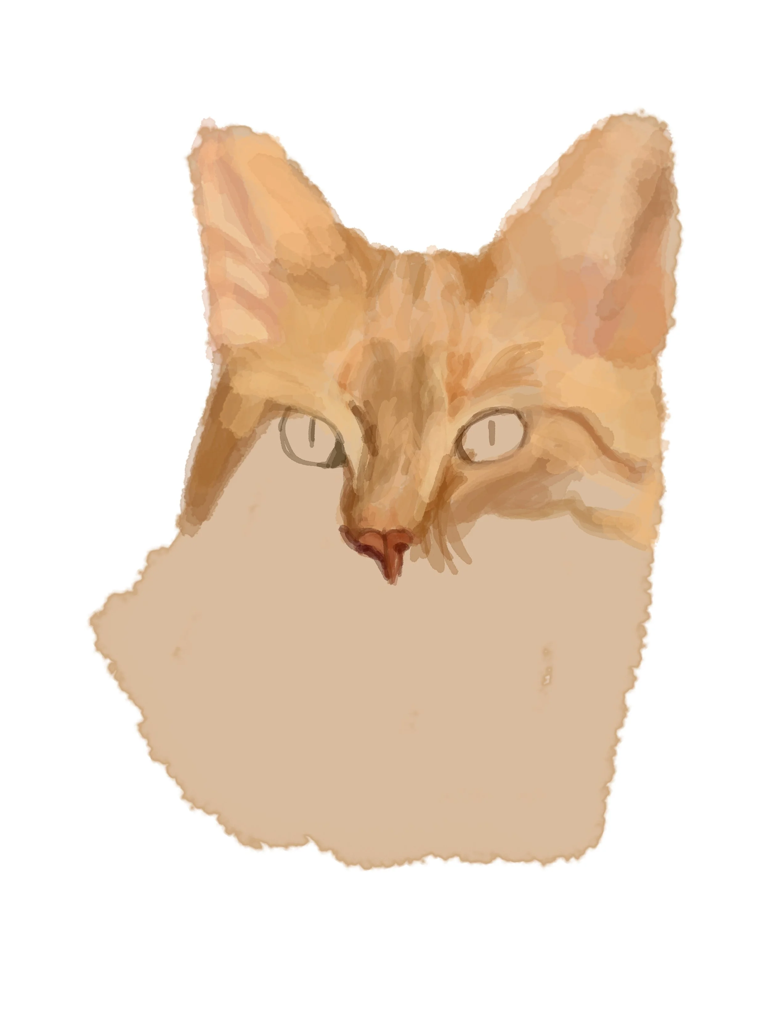 Digital illustration of an orange tabby cat with yellow eyes and pink nose, depicted in a minimalist style.