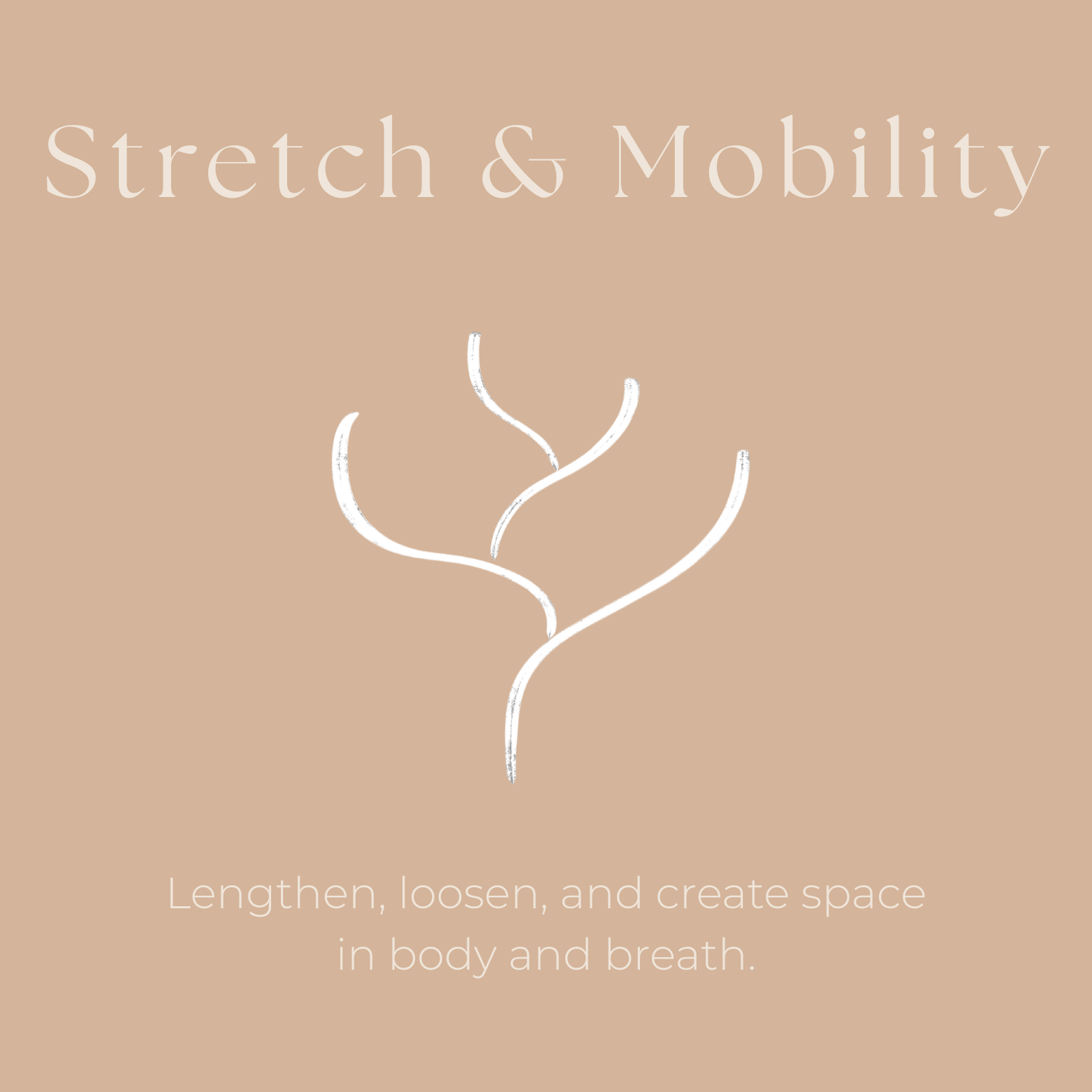 stretch & mobility.png